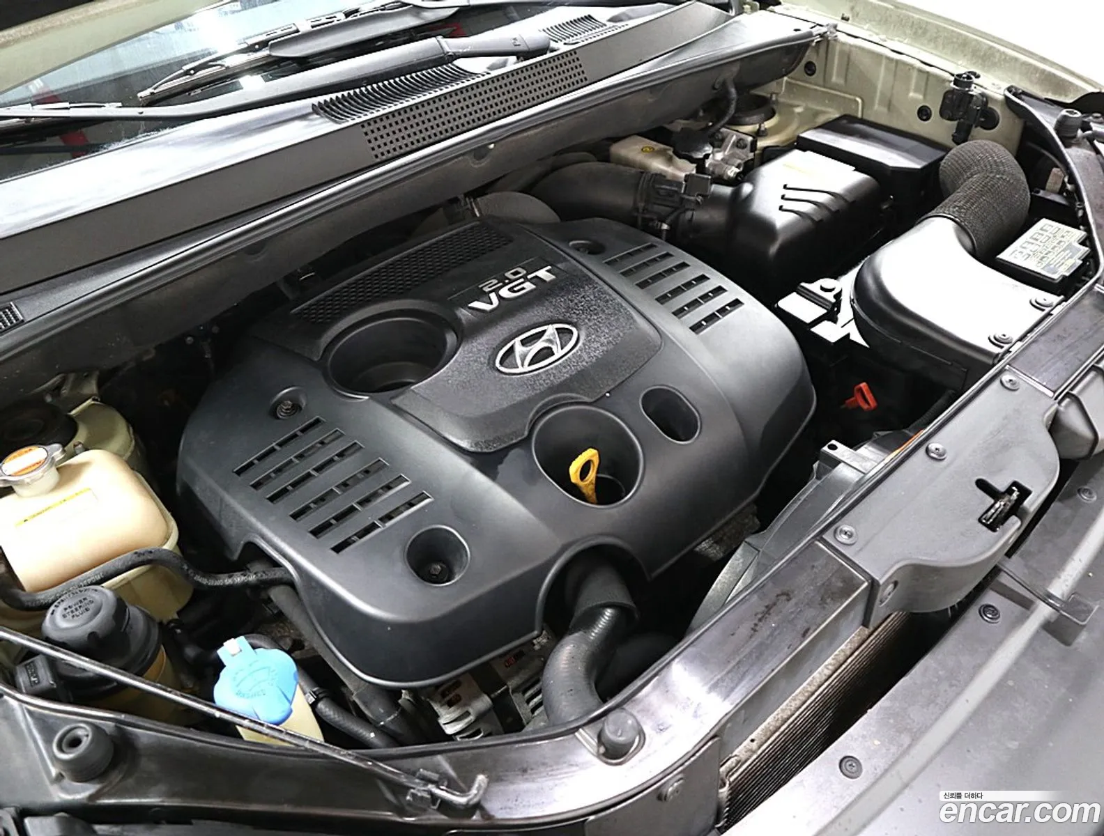 Hyundai Tucson I Diesel Vgt 2Wd Mx 2007 - фотография 19133073