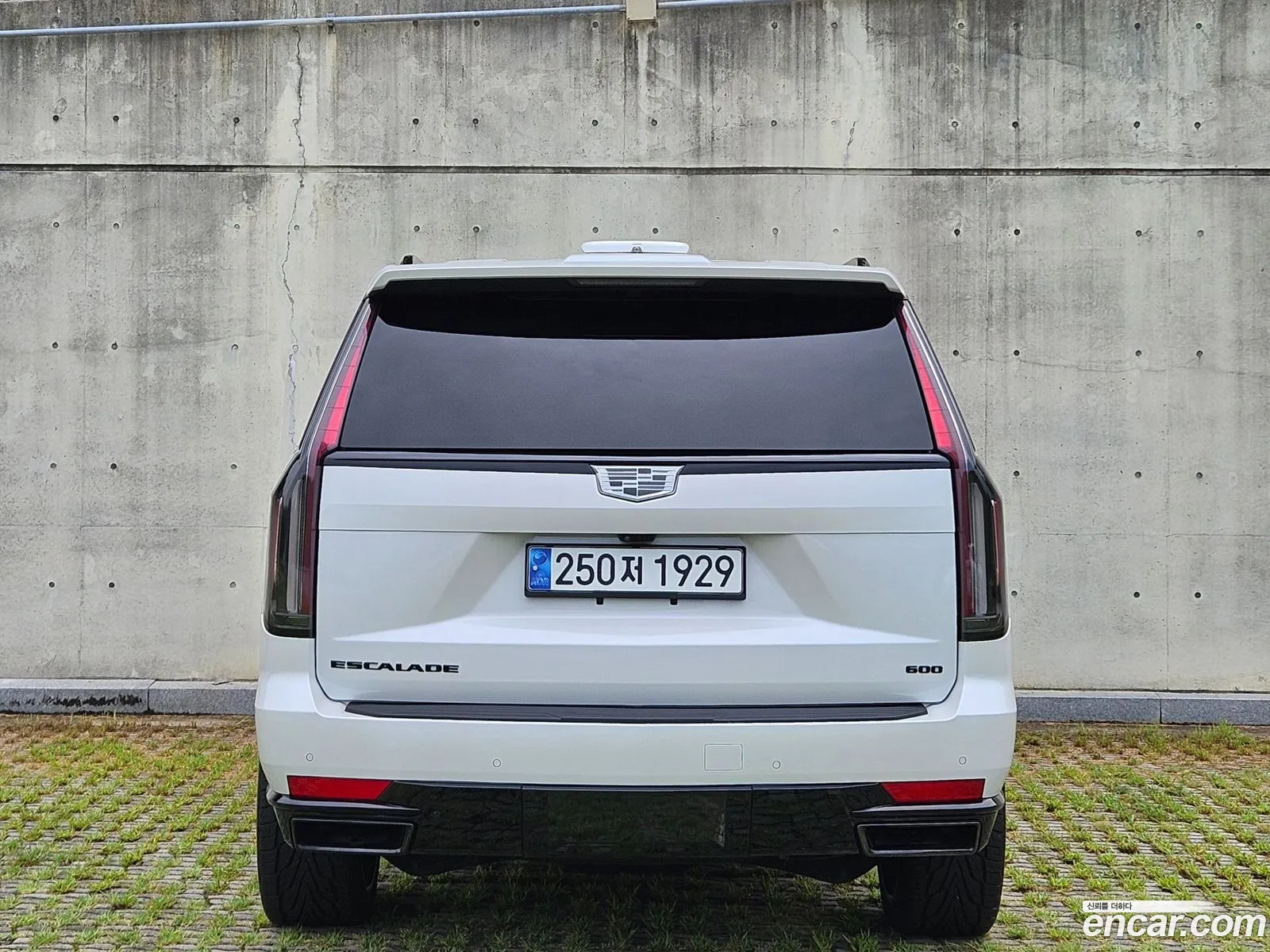 Cadillac Escalade V 62 Esv 2021 - фотография 3504898