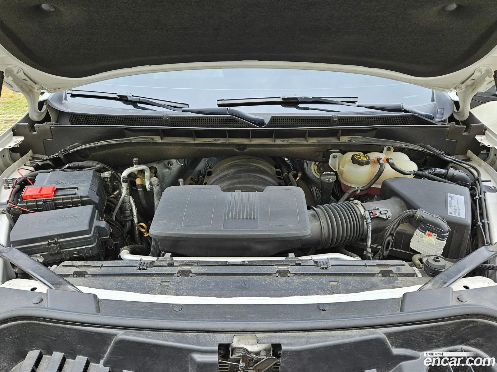 Cadillac Escalade V 62 Esv 2021 - фотография 3504900