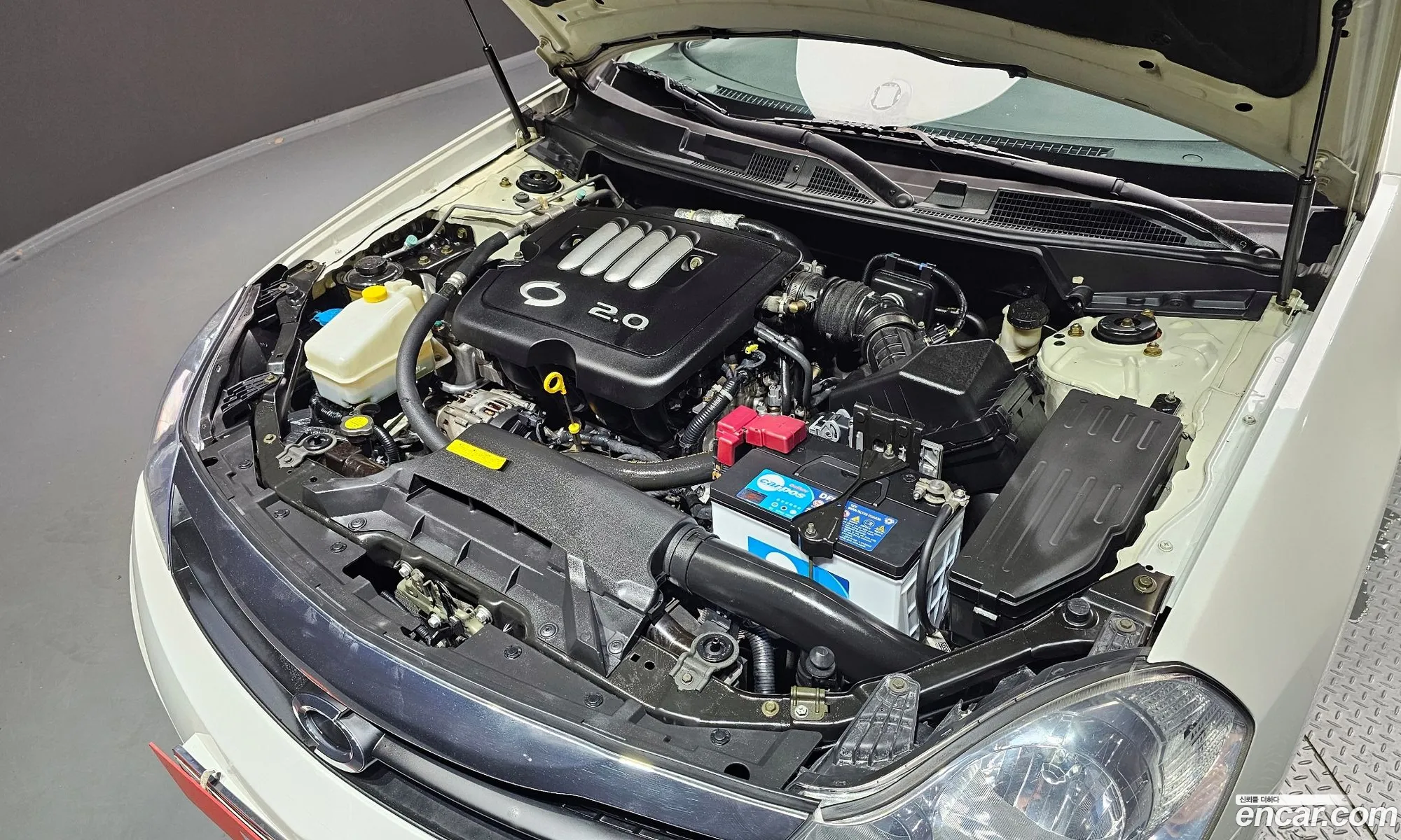 Renault Samsung Sm5 Ii Le 2008 - фотография 247112
