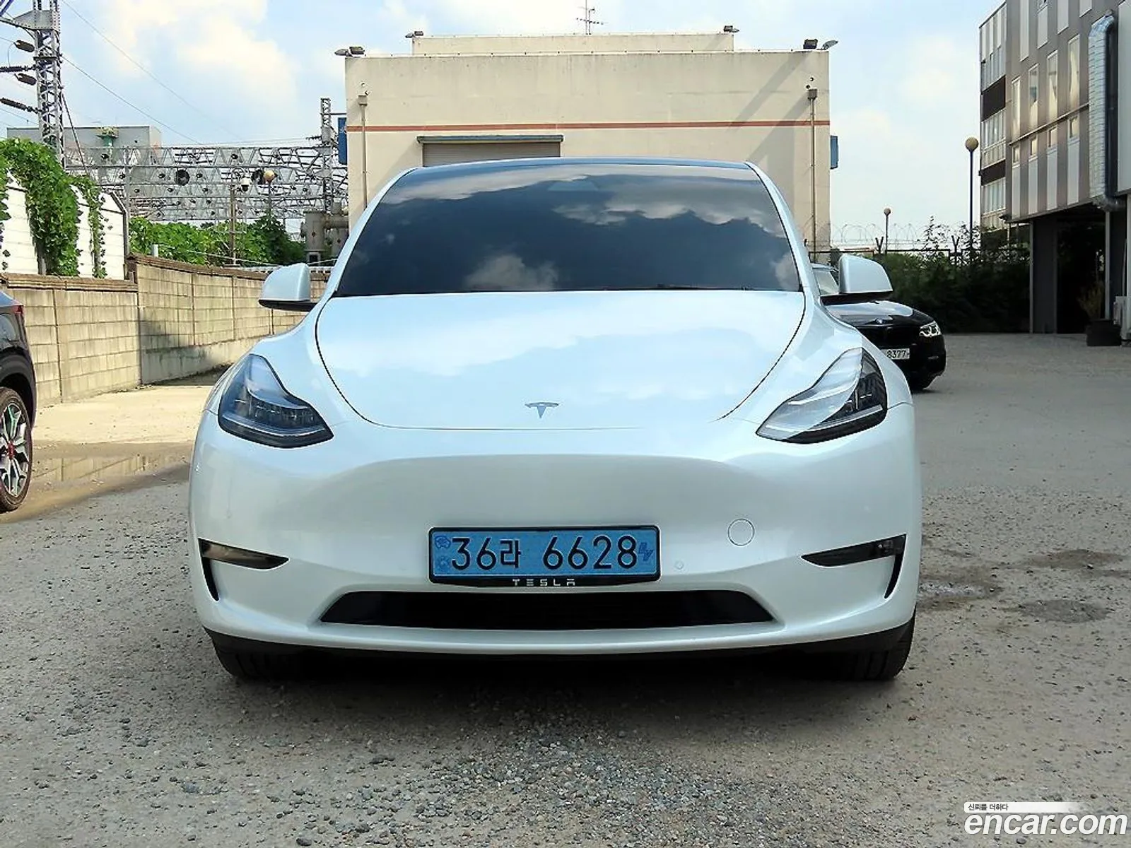 Tesla Model Y I Long Range 2022 - фотография 3727405