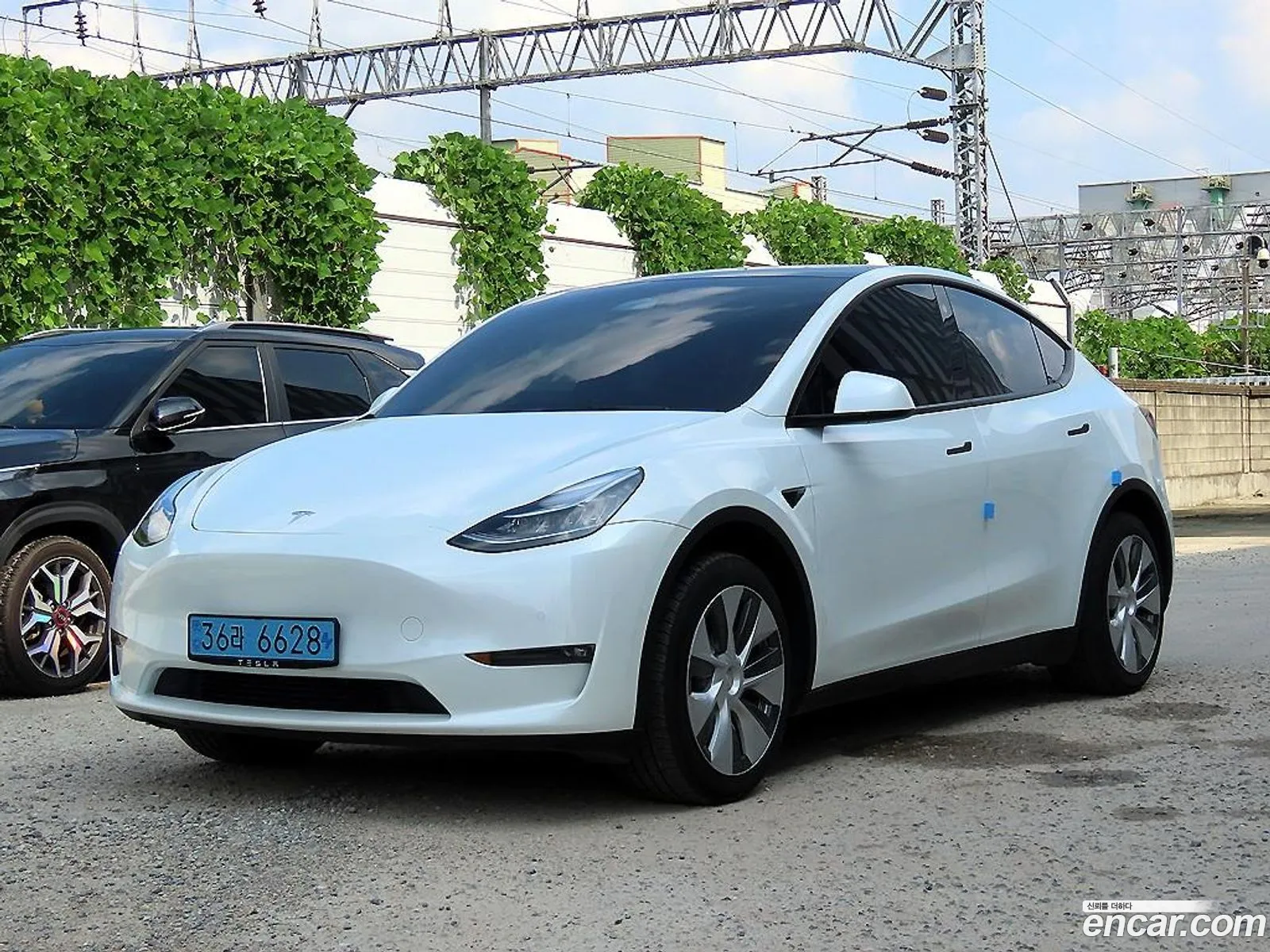 Tesla Model Y I Long Range 2022 - фотография 3727406