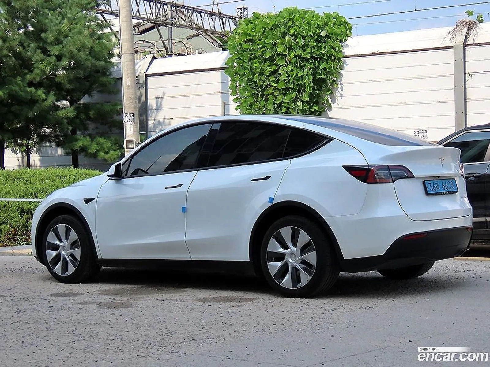 Tesla Model Y I Long Range 2022 - фотография 3727407