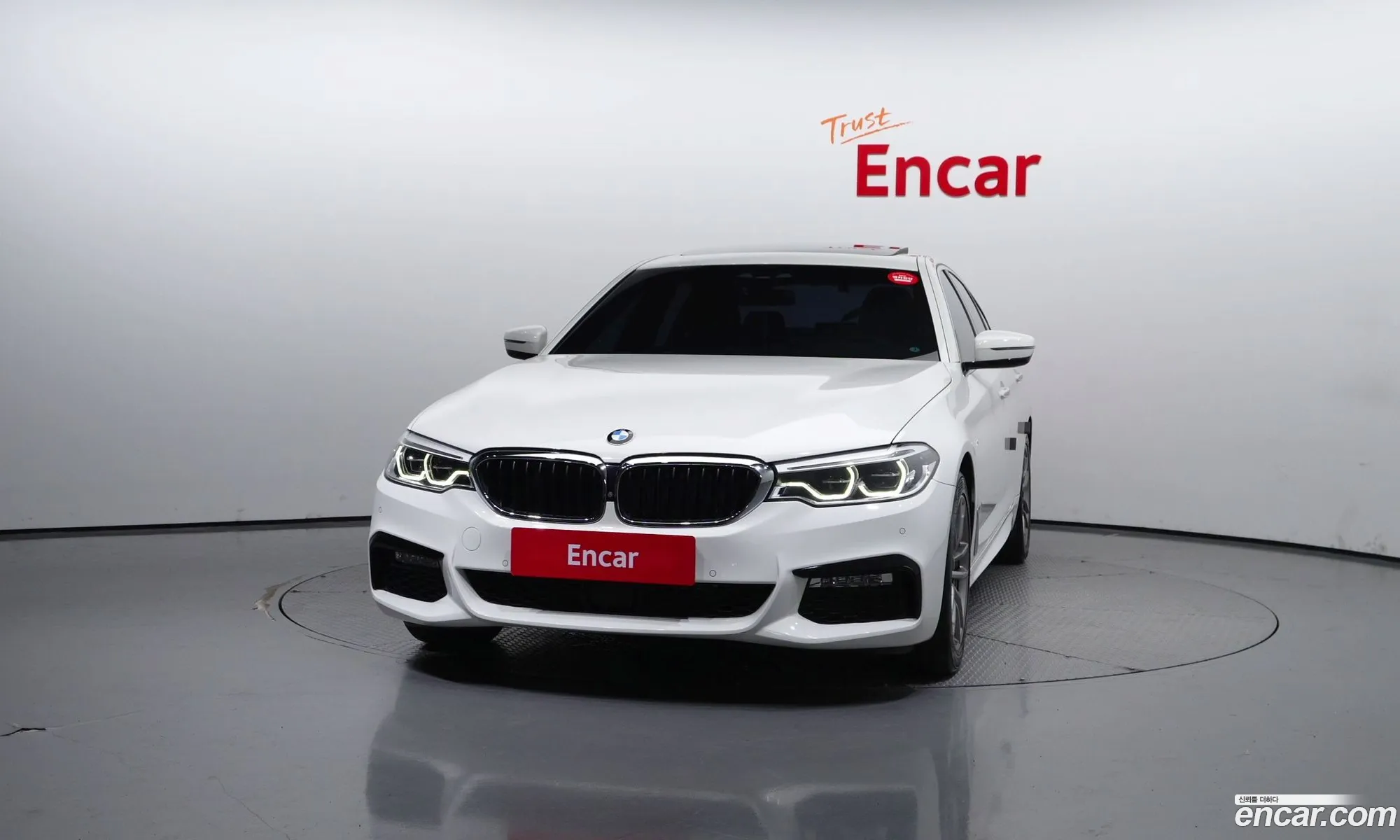 BMW 5Er Vii G30G31 520D xDrive M Sport Plus 2018 - фотография 13208478