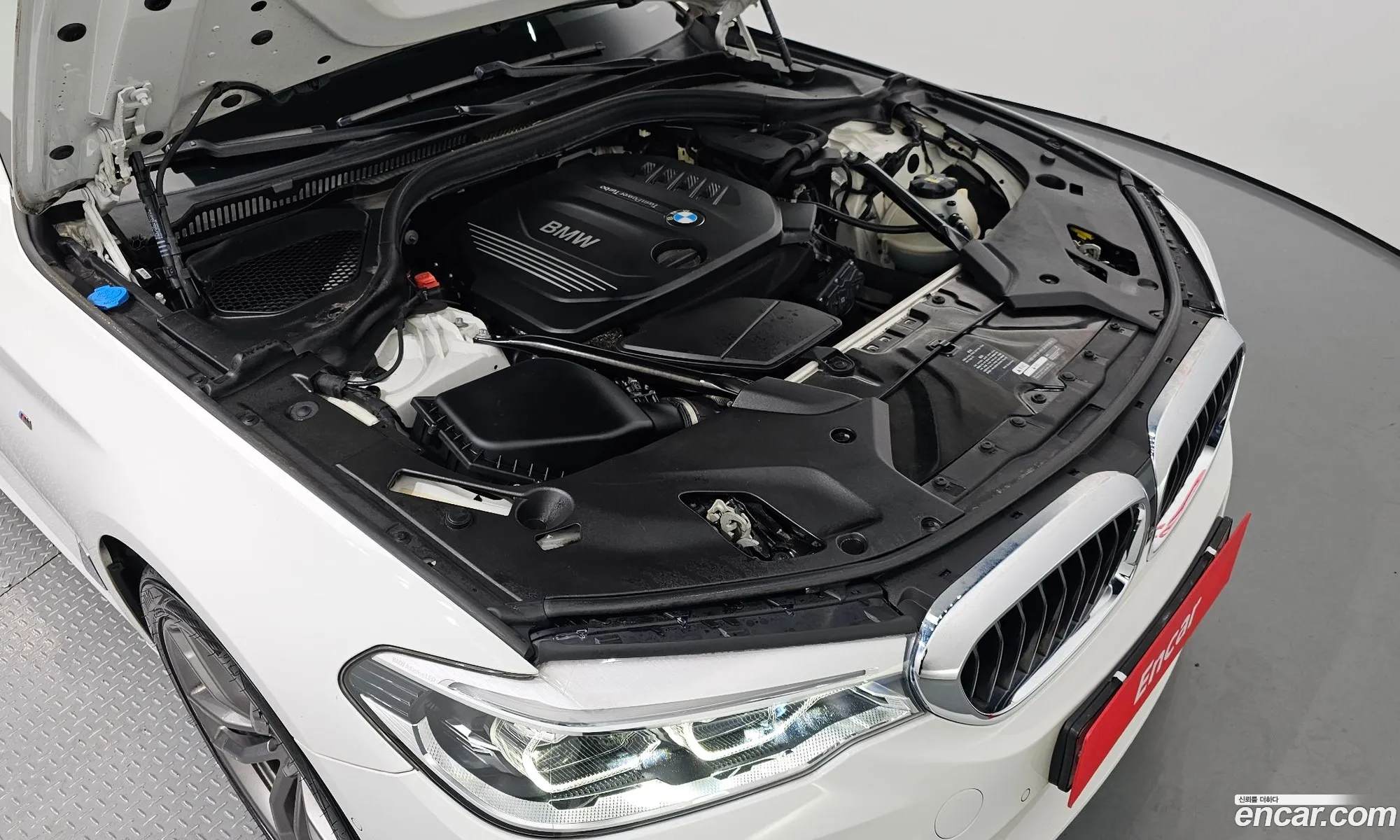 BMW 5Er Vii G30G31 520D xDrive M Sport Plus 2018 - фотография 13208481