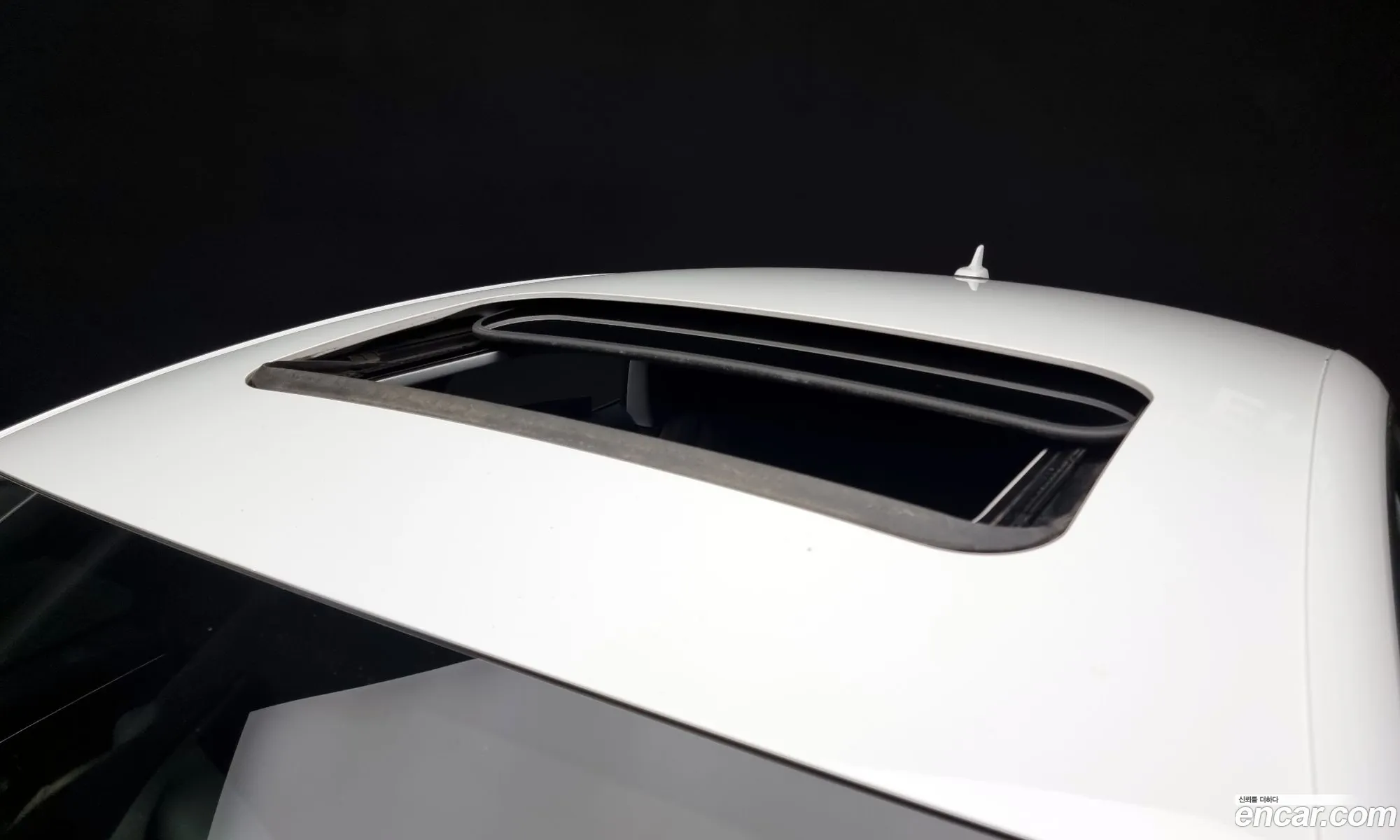 Korex Auto Trade - фотография 218014