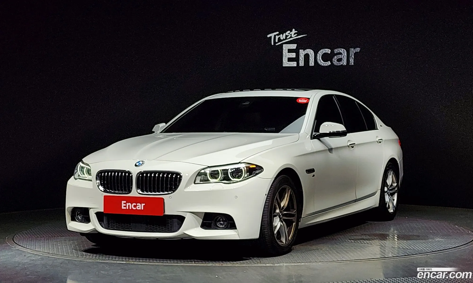 BMW 5Er 520D xDrive M Aerodynamics 2016 - фотография 13107865