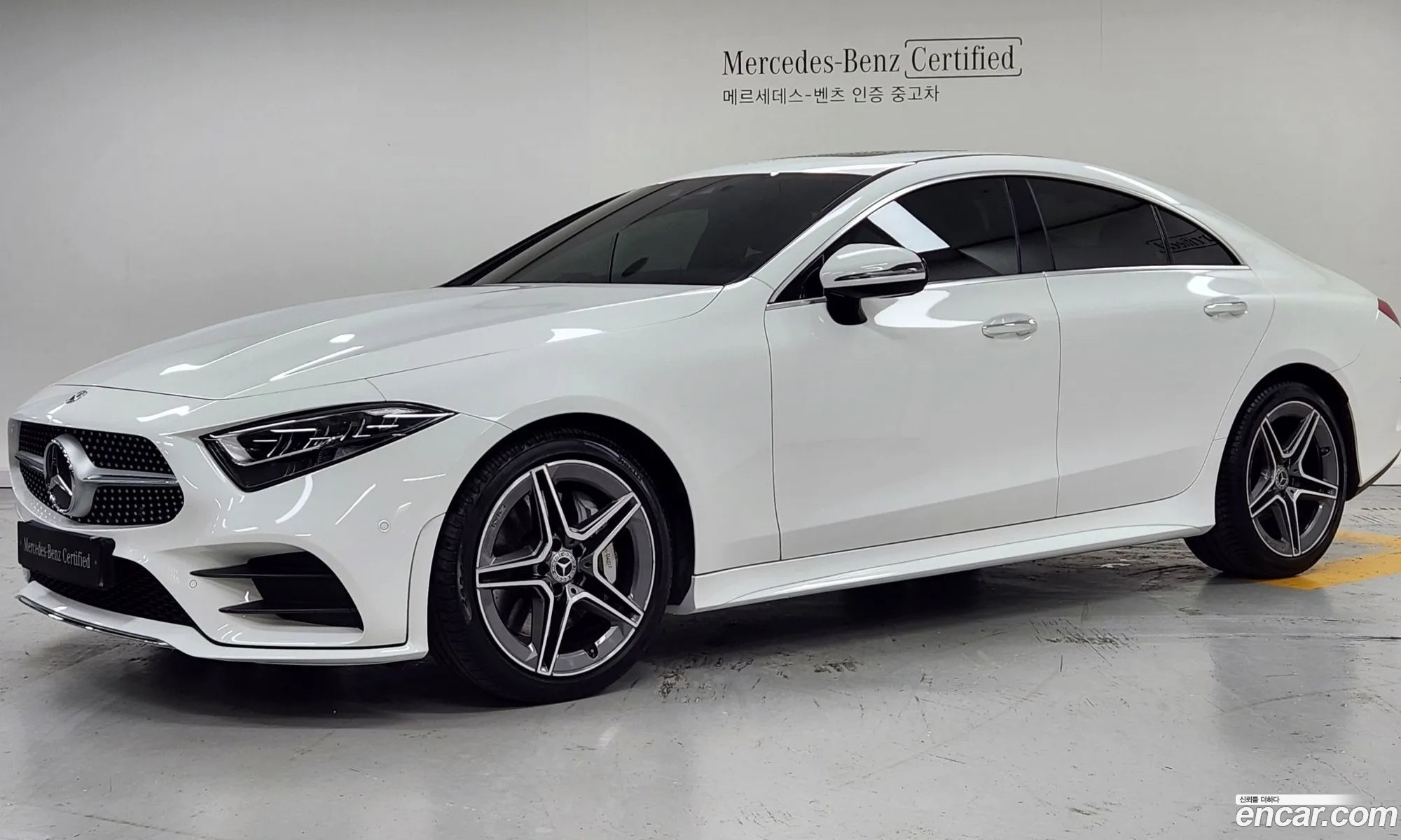 Mercedes-Benz Cls-Klasse Iii C257 Cls300D Amg Line 2020 - фотография 17137865