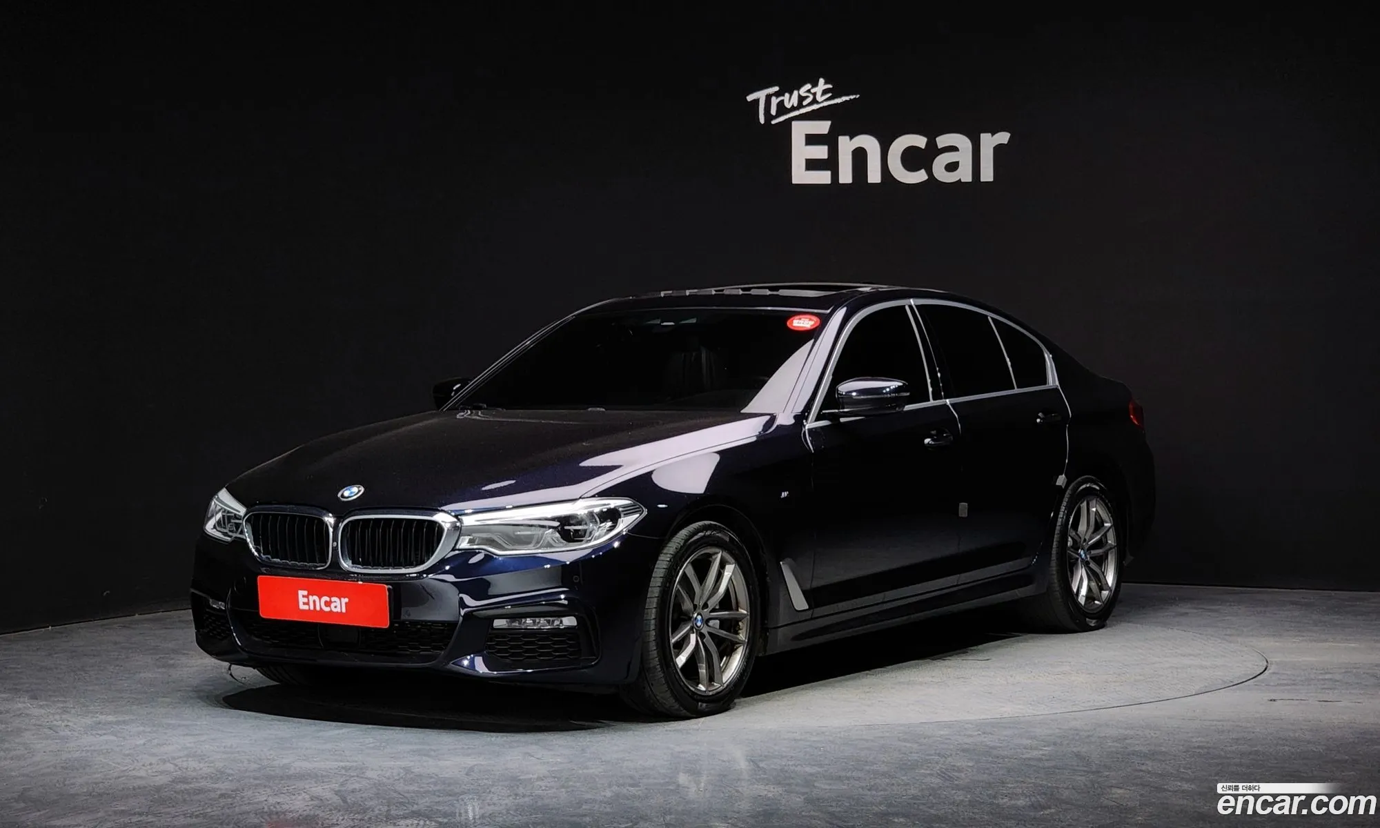 BMW 5Er Vii G30G31 520D xDrive M Sport Plus 2018 - фотография 13107877