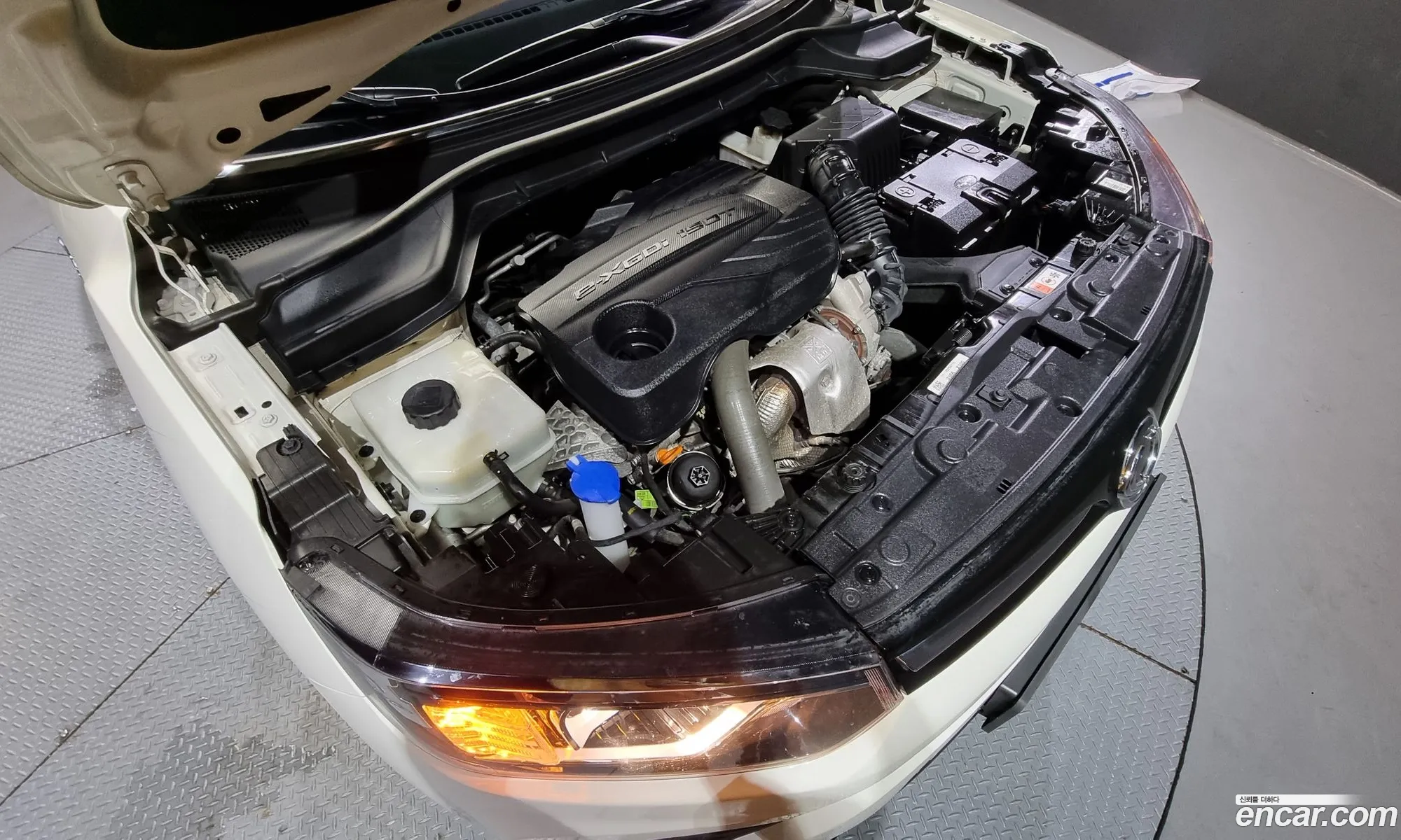 Ssangyong Tivoli Tivoli Gasoline 15 2Wd 2020 - фотография 17516794