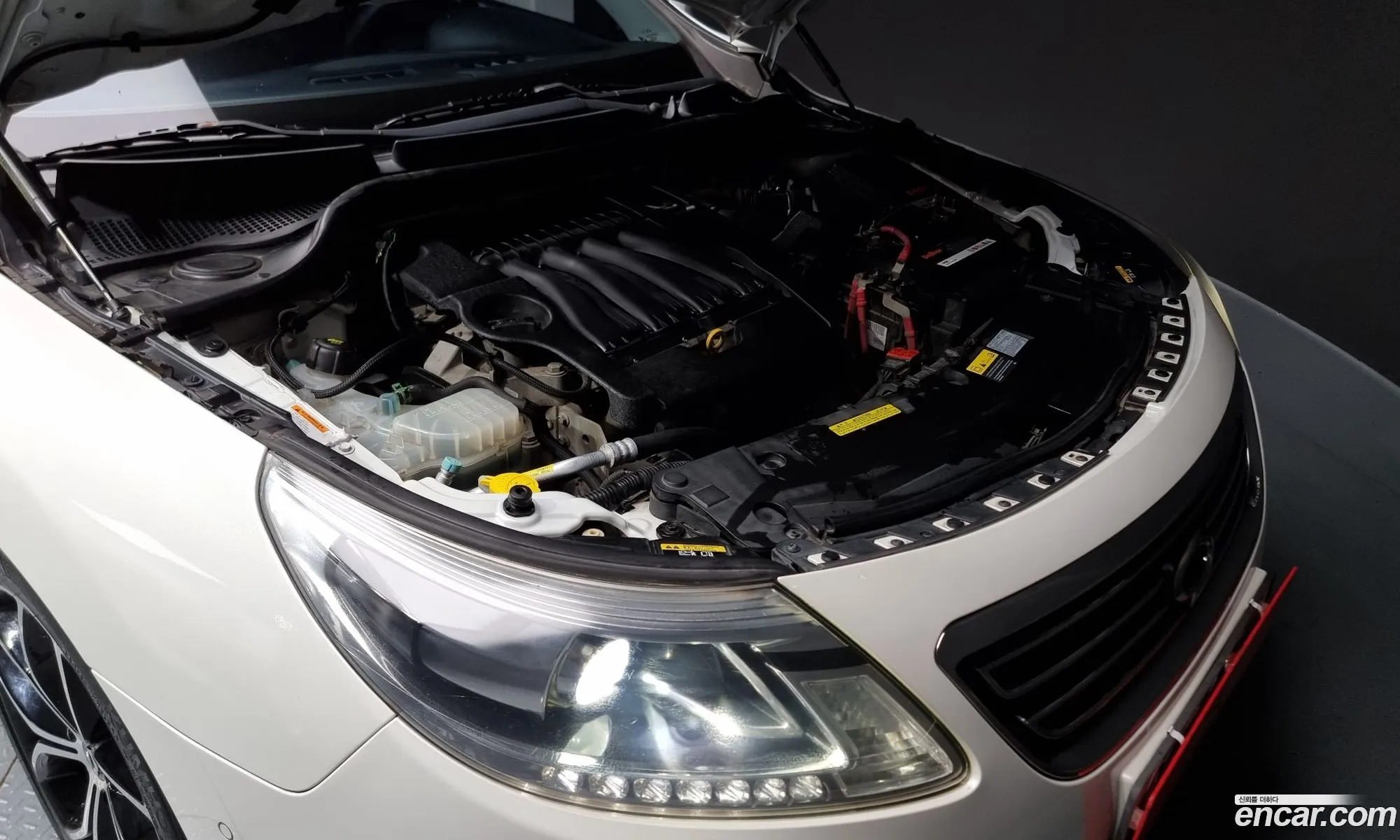 Renault Samsung Sm5 Re 2014 - фотография 247136