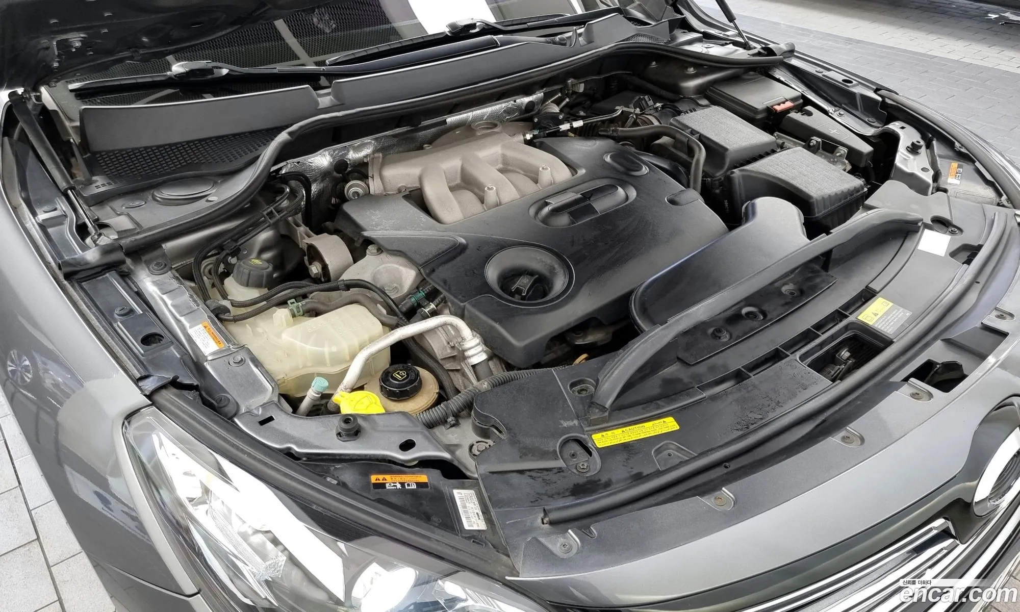 Renault Samsung Sm7 Re 2016 - фотография 244868