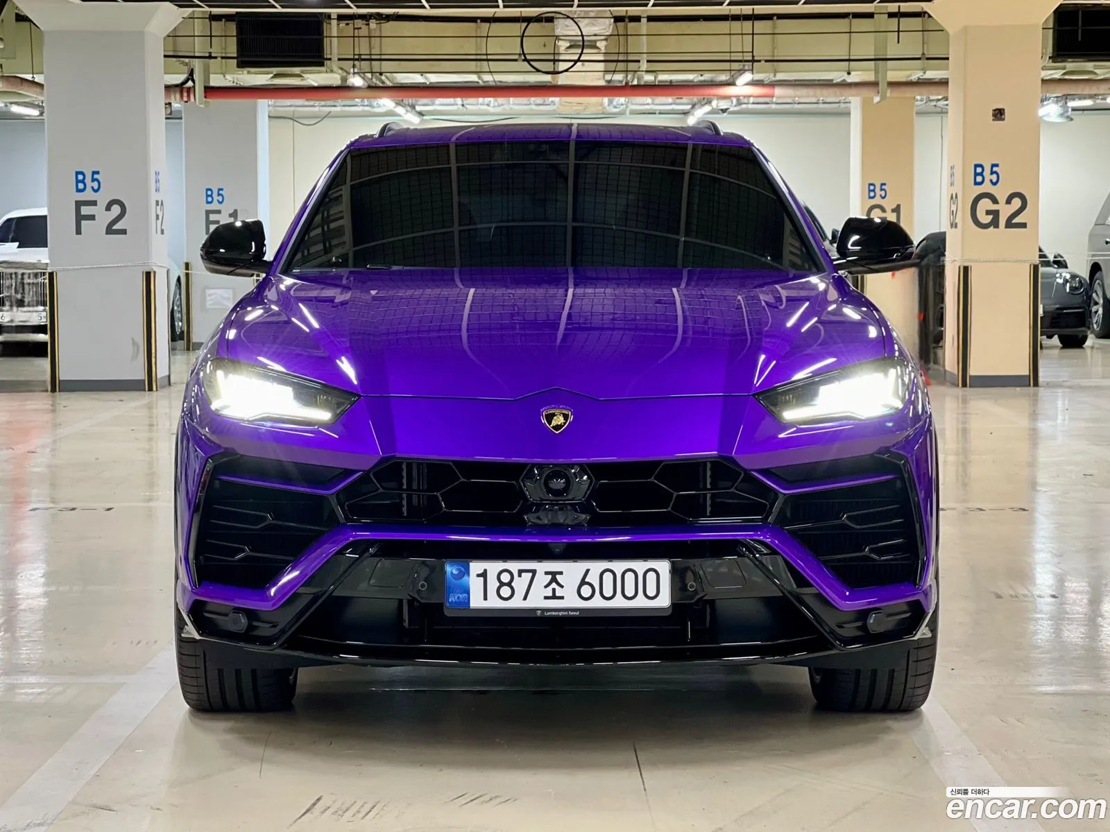 Lamborghini Urus I 40 V8 2022 - фотография 3749446