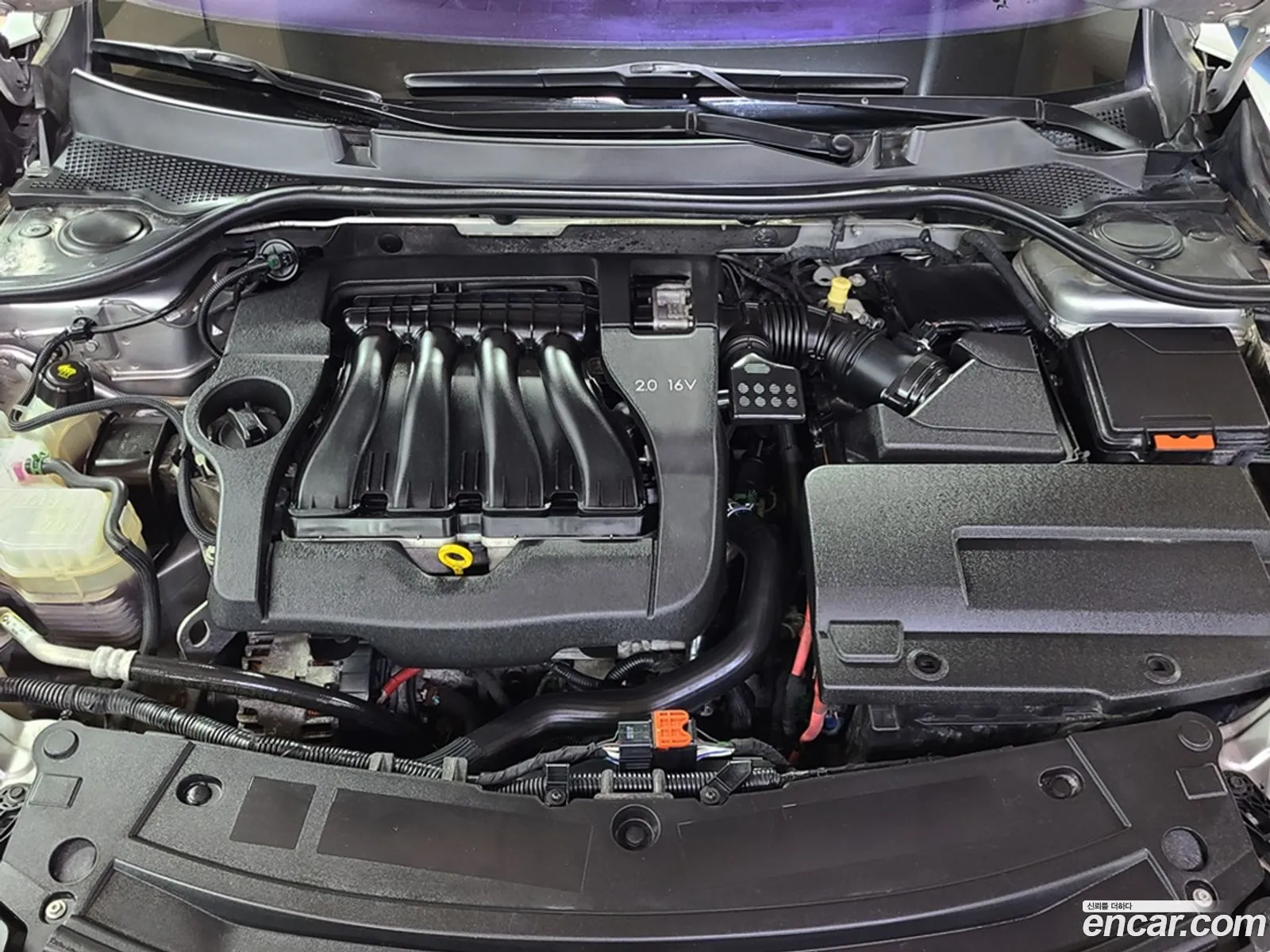 Renault Samsung Sm5 Se 2013 - фотография 247123