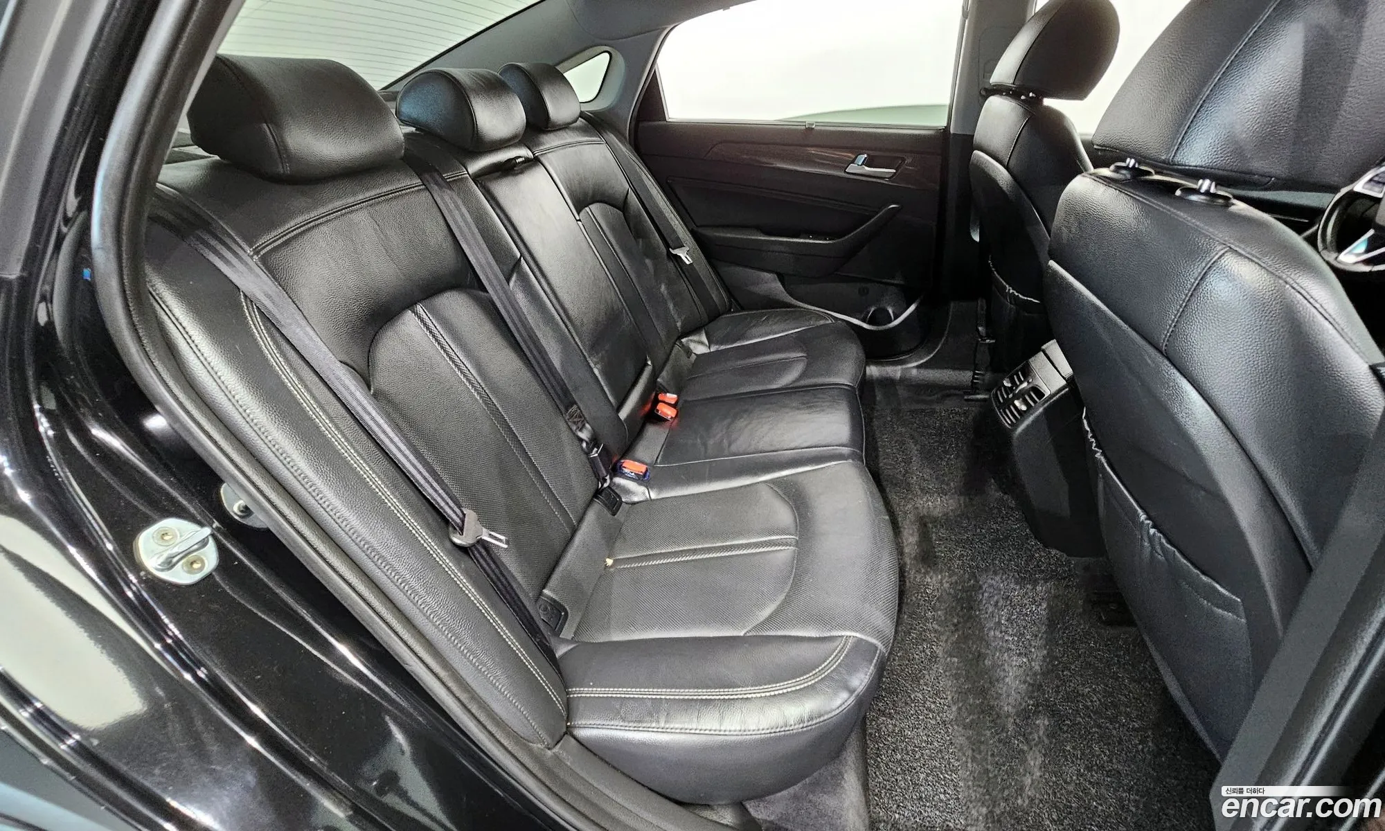 Sonata New Rise 20 Premium Special - фотография 1277007