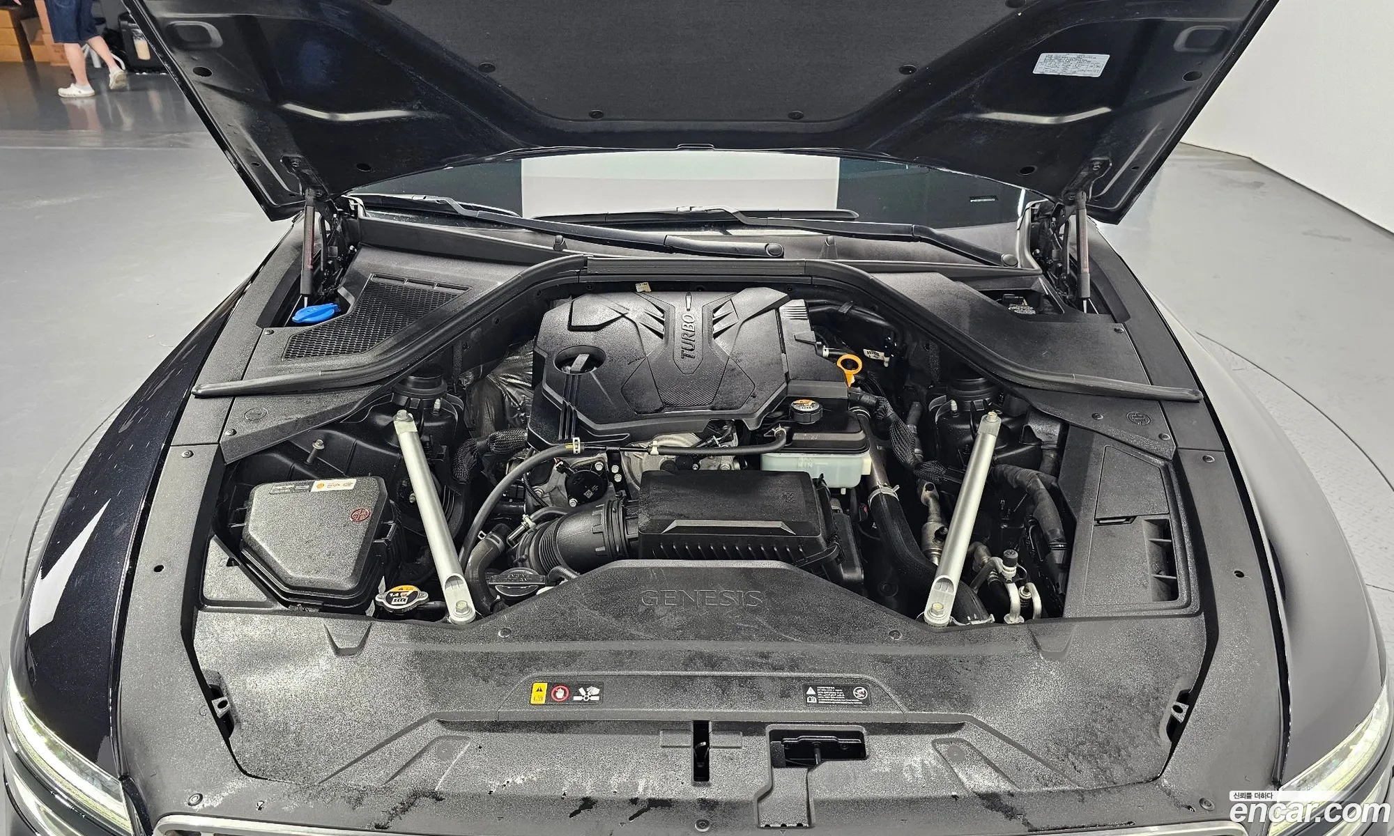 Genesis G80 Gasoline 25 Turbo Awd 2020 - фотография 1743497