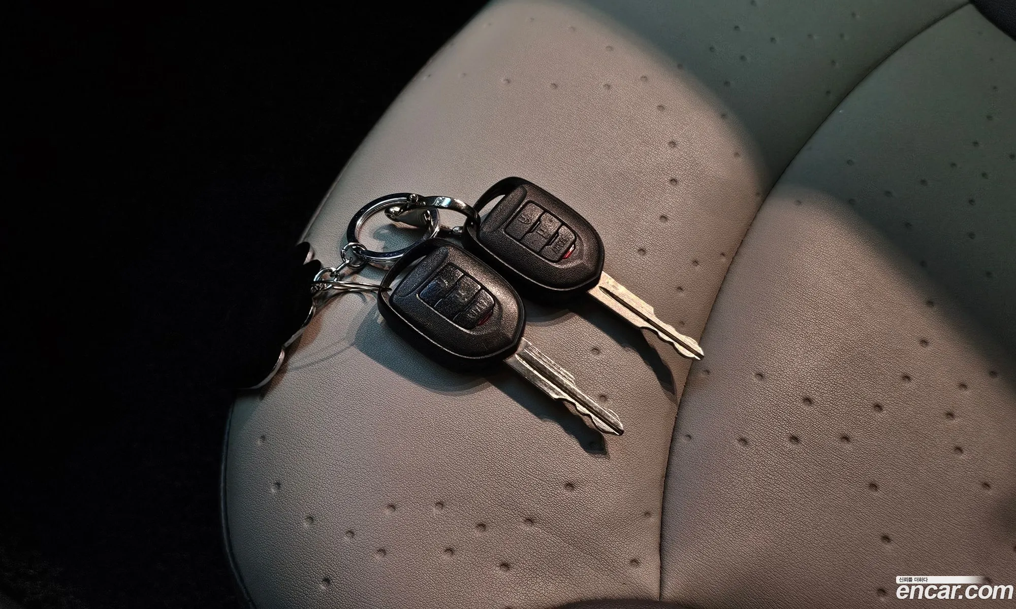Korex Auto Trade - фотография 17849300