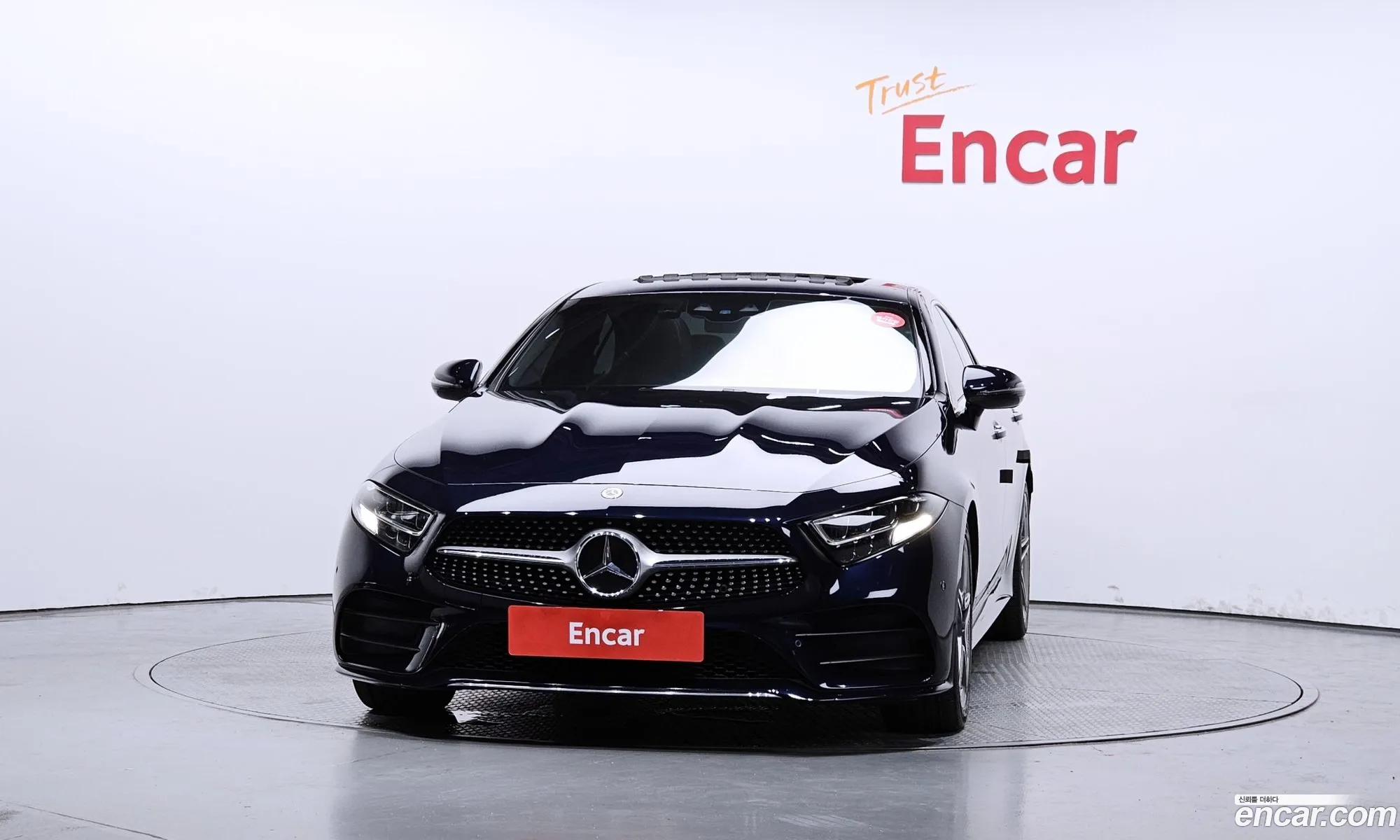 Mercedes-Benz Cls-Klasse Iii C257 Cls300D Amg Line 2020 - фотография 17115226