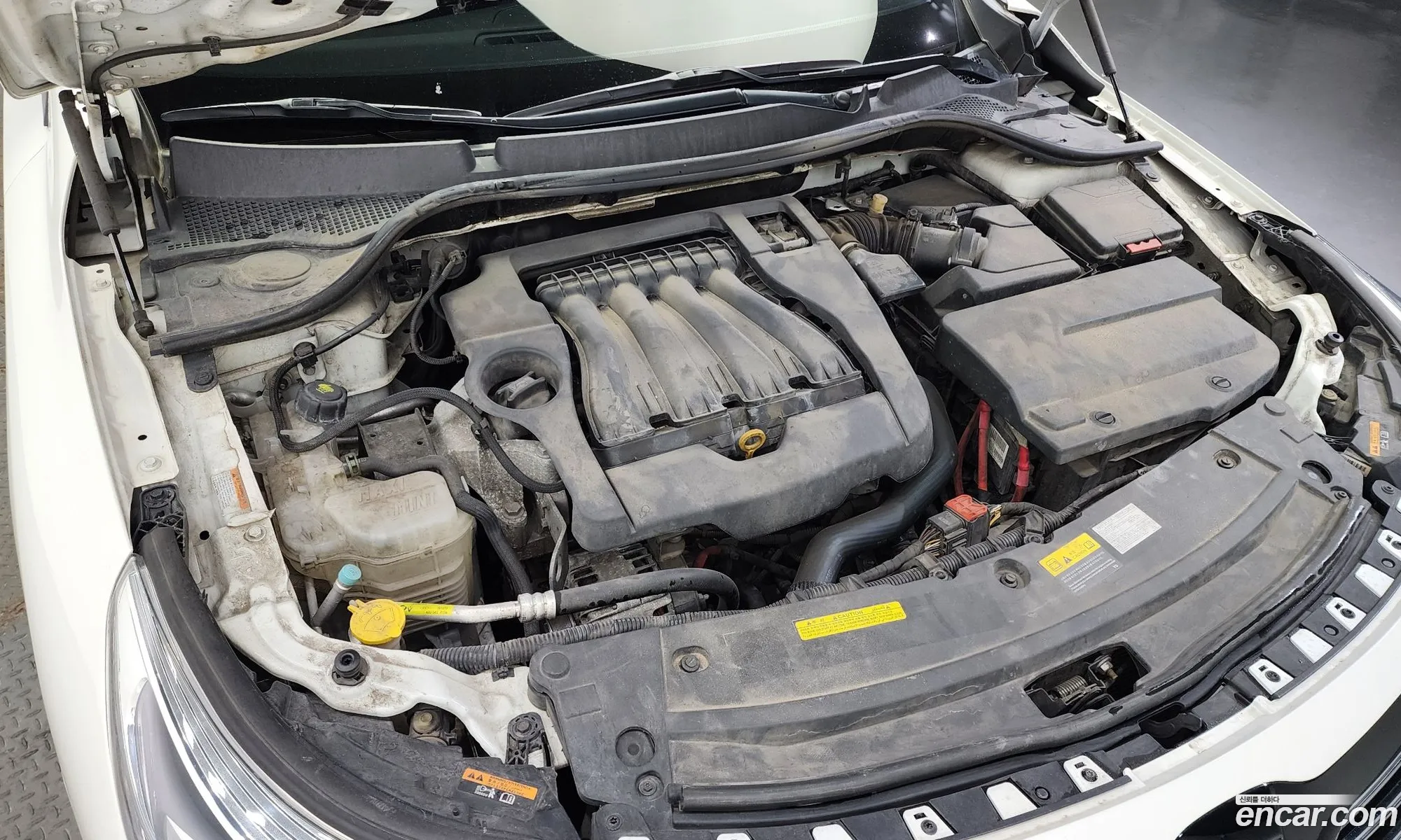 Renault Samsung Sm5 Le 2015 - фотография 5792
