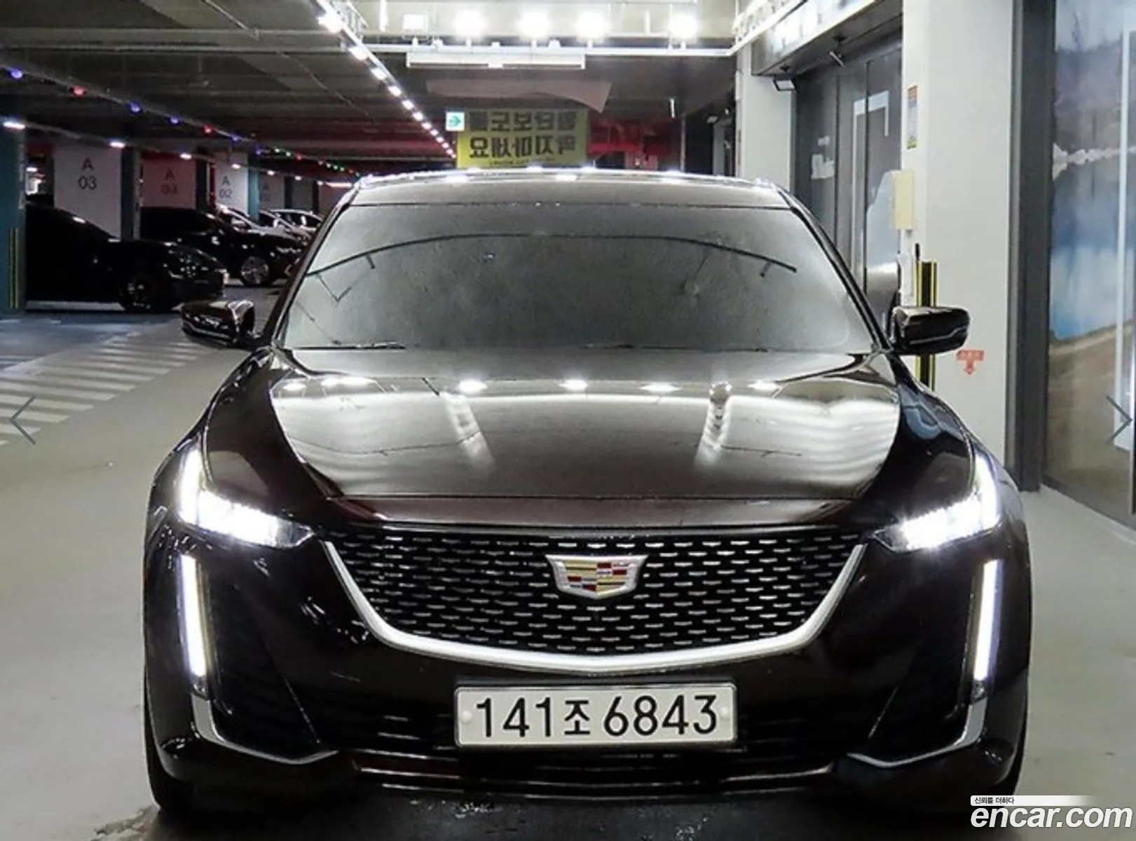 Cadillac Ct5 I 20 Premium Luxury 2020 - фотография 4425117