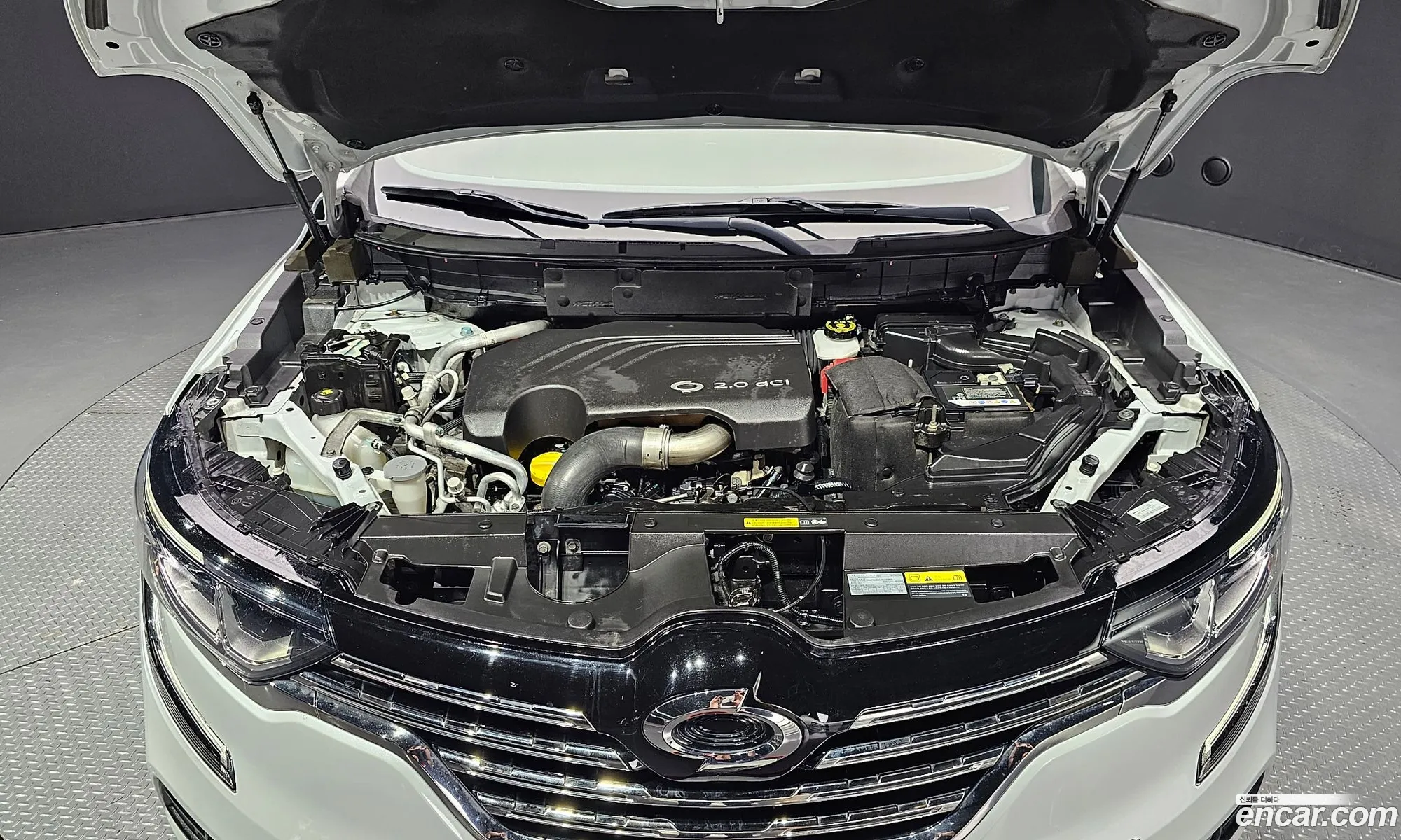 Renault Samsung Qm6 Diesel 2Wd Re 2019 - фотография 12467197