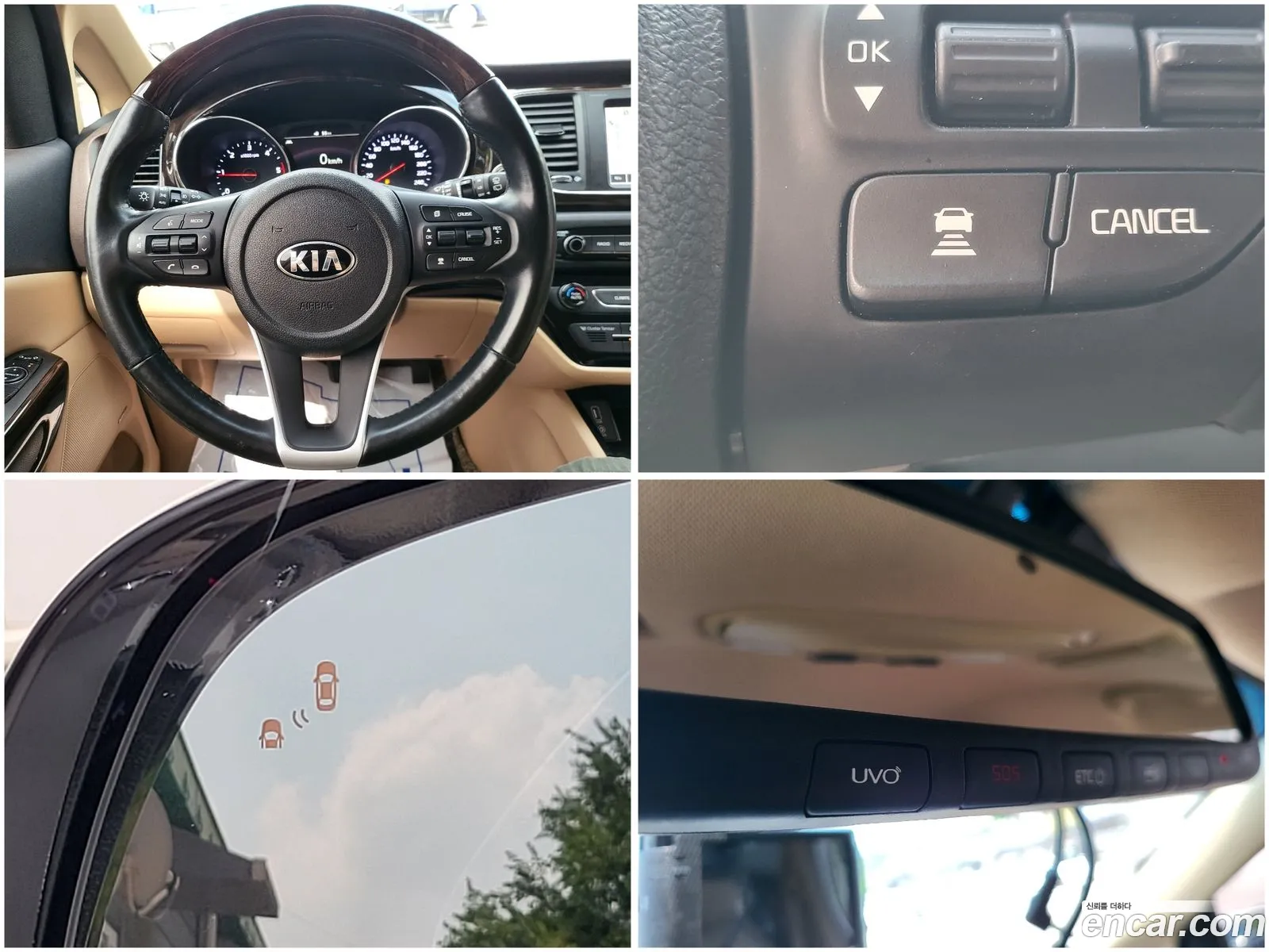Korex Auto Trade - фотография 13043321