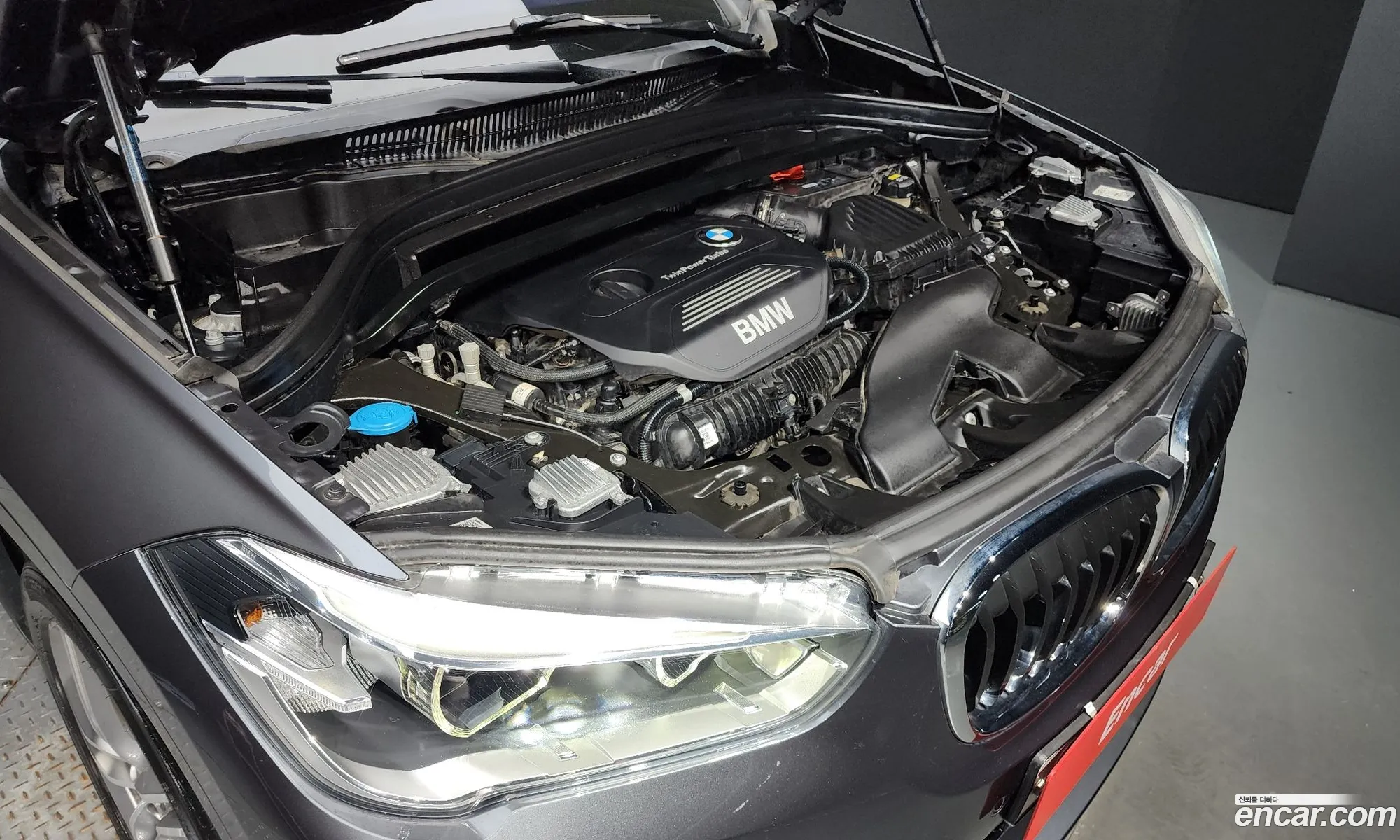 BMW X1 Ii F48 xDrive 25I M Sports 2019 - фотография 1034256