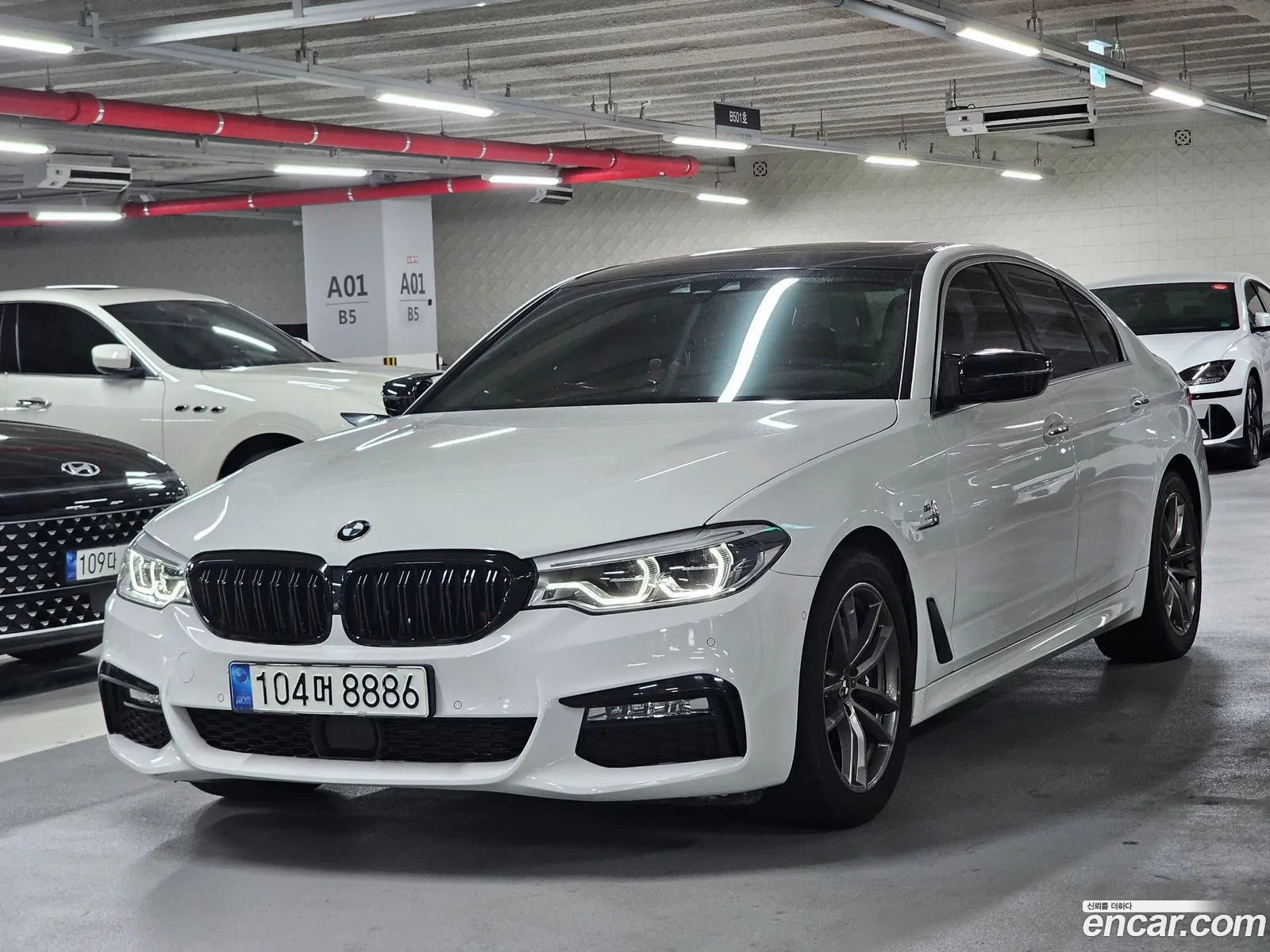 BMW 5Er Vii G30G31 520D M Sport Plus 2018 - фотография 12862854