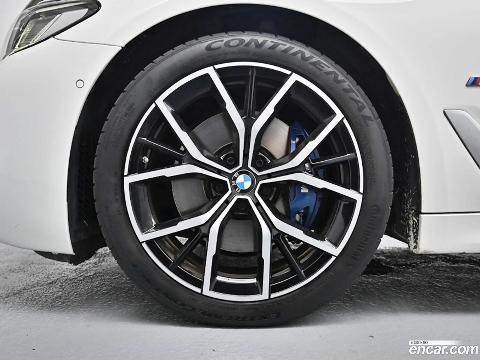 BMW 5Er Vii G30G31 530I M Sports 2021 - фотография 12862845