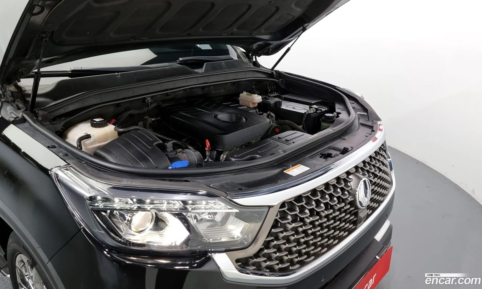 Kg Mobility Ssangyong G4 Rexton Diesel 22 4Wd Majesty Special - фотография 8524100