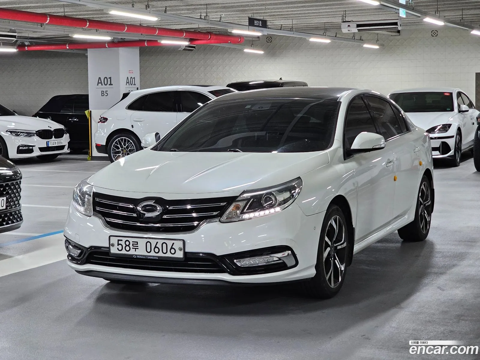 Renault Samsung Sm5 Diesel D Premium 2016 - фотография 12431048