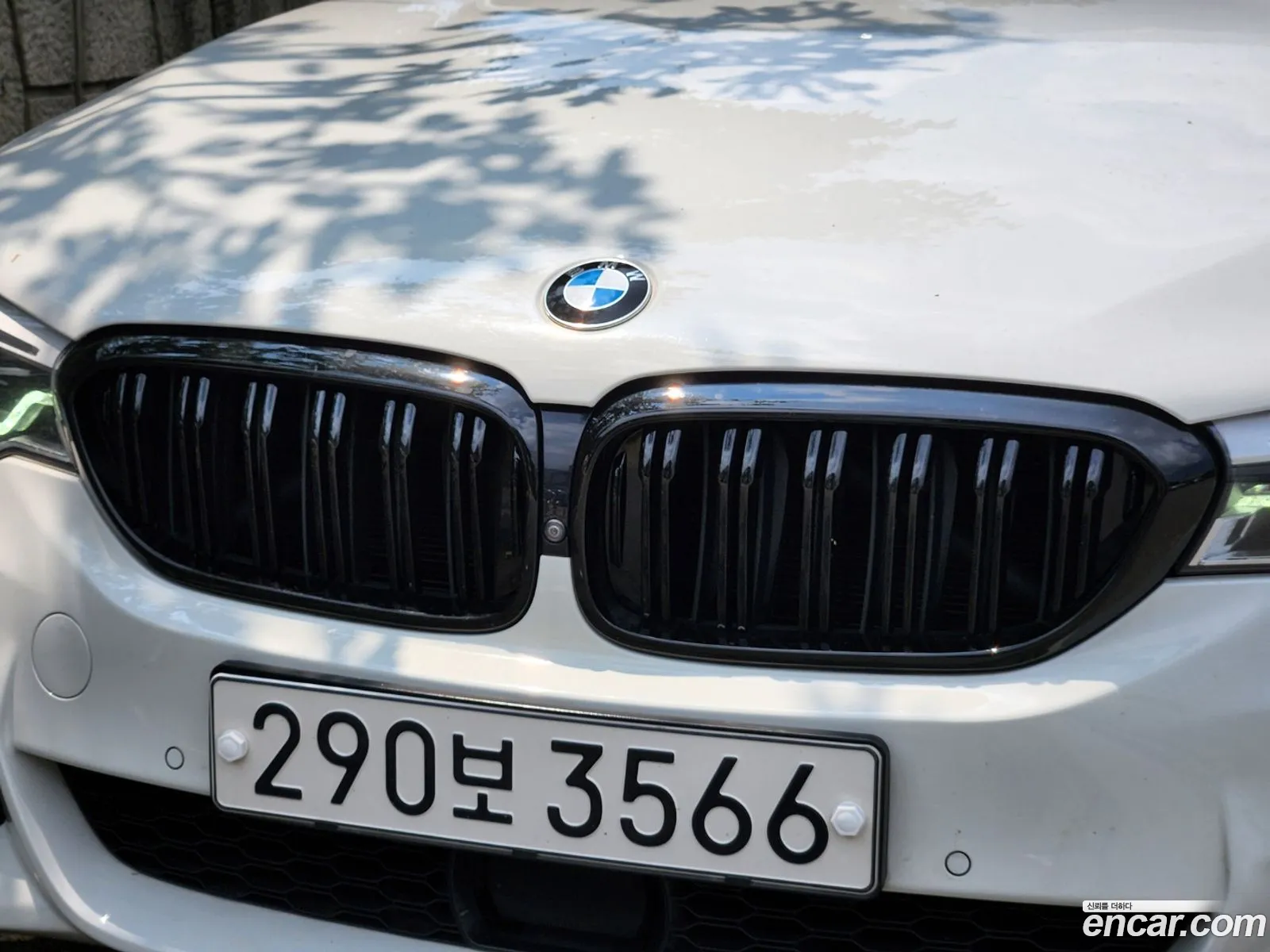 Korex Auto Trade - фотография 7395788