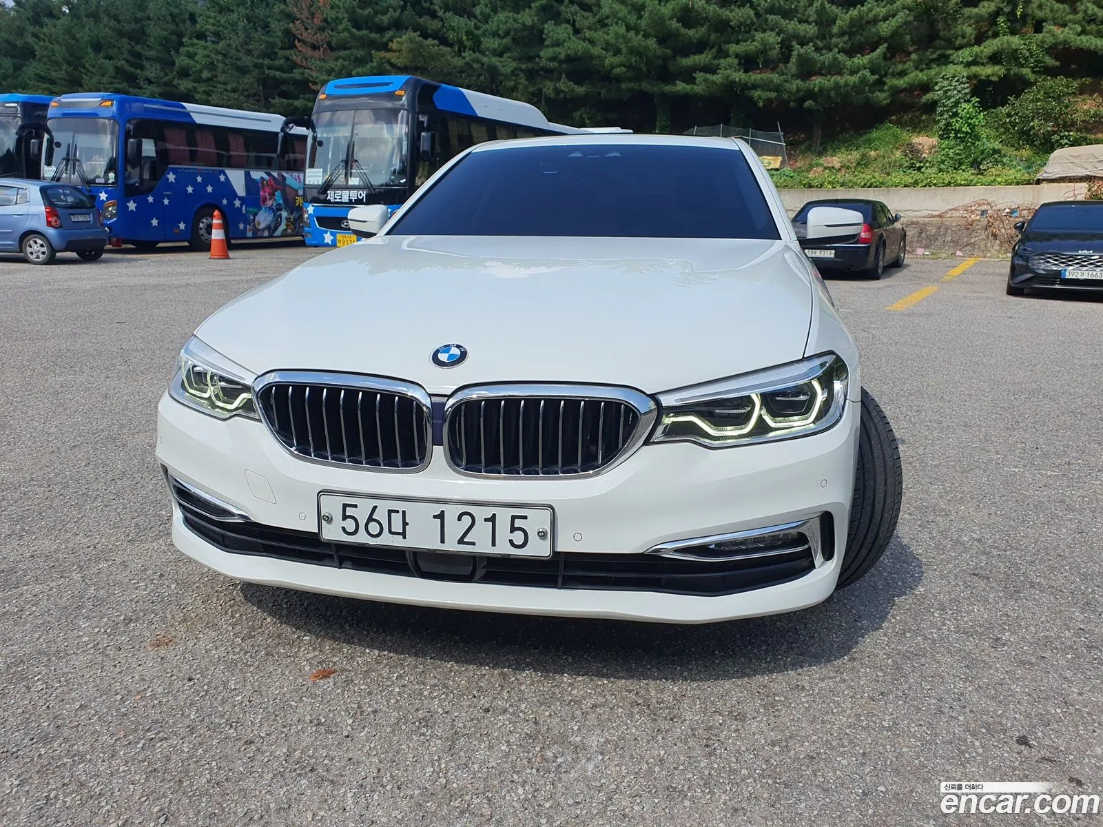 BMW 5Er Vii G30G31 520D Luxury Special Edition 2018 - фотография 4610960