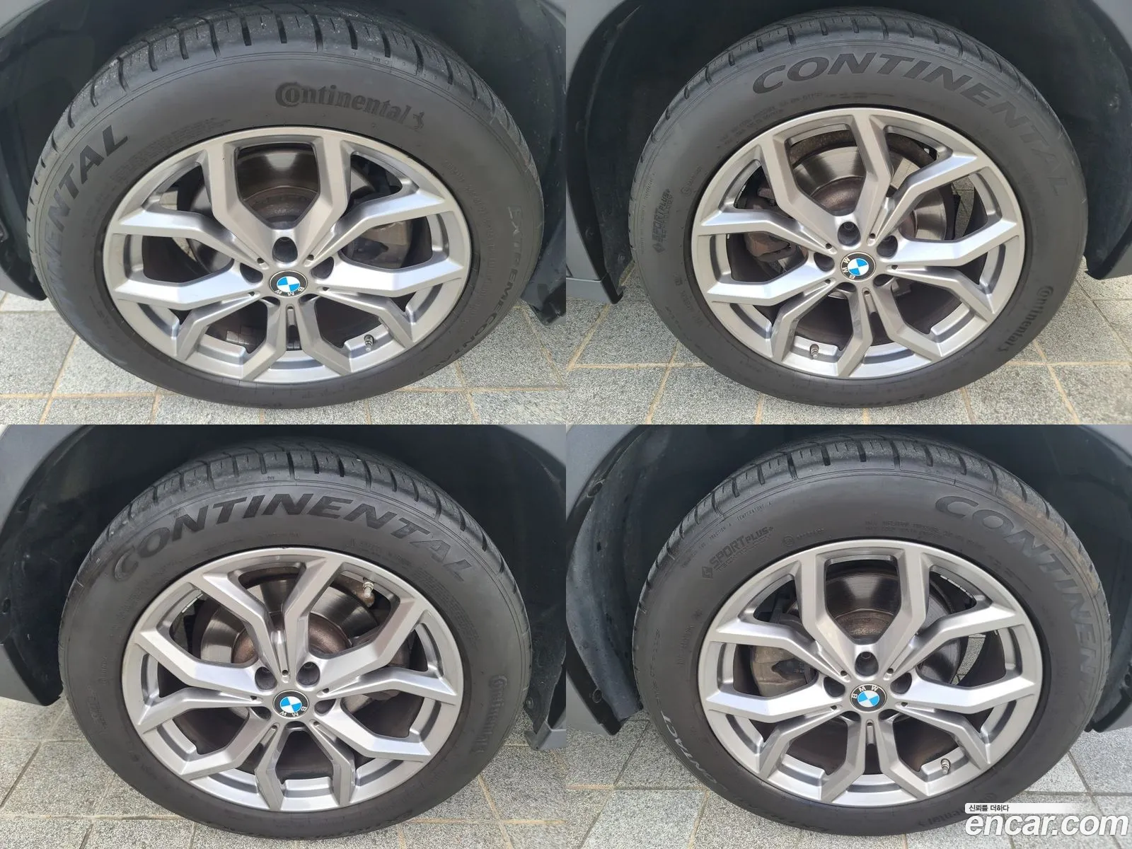 Korex Auto Trade - фотография 13079235