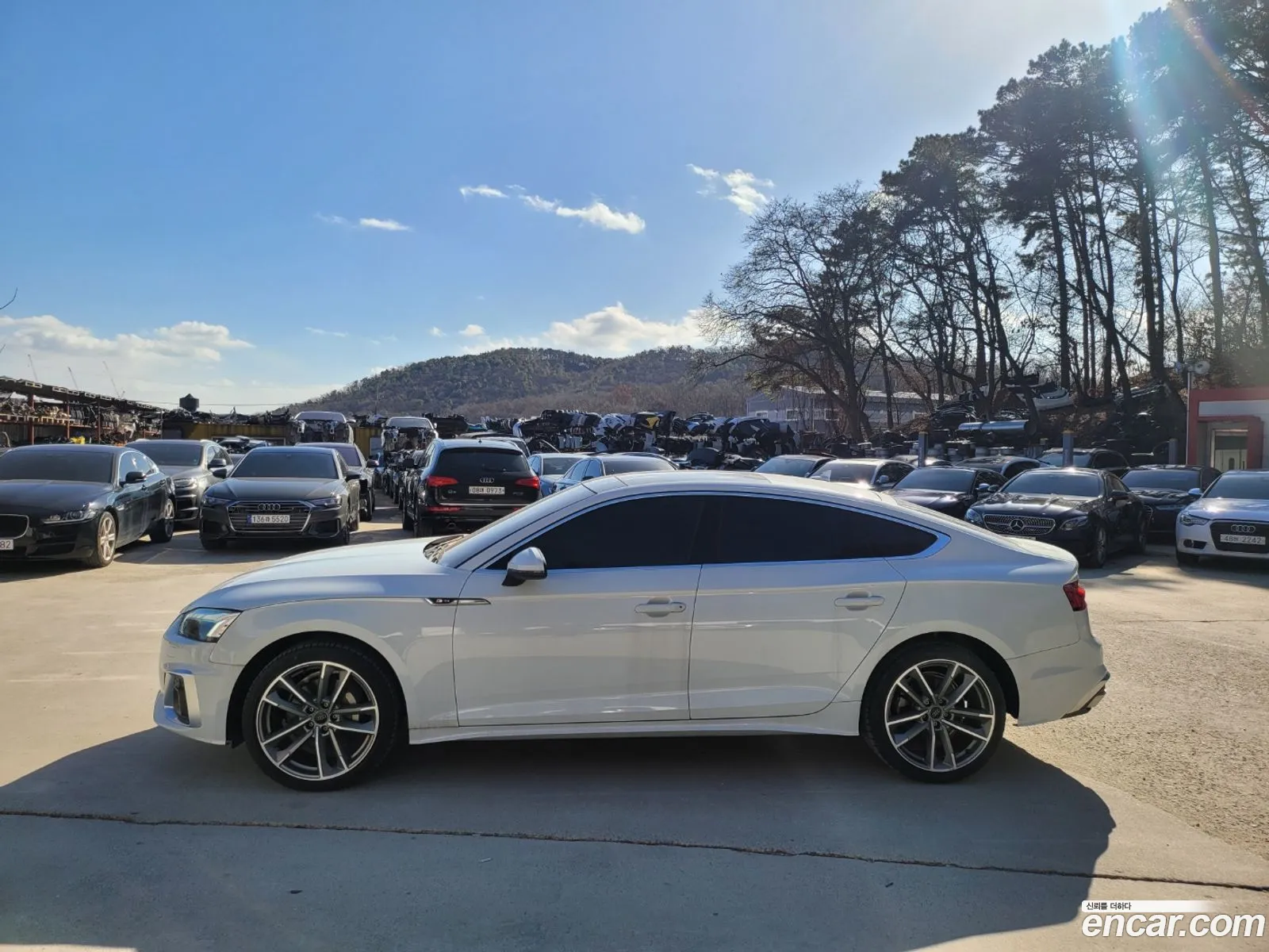Audi A5 F5 40 Tdi Quattro Premium Sportback - фотография 1176378