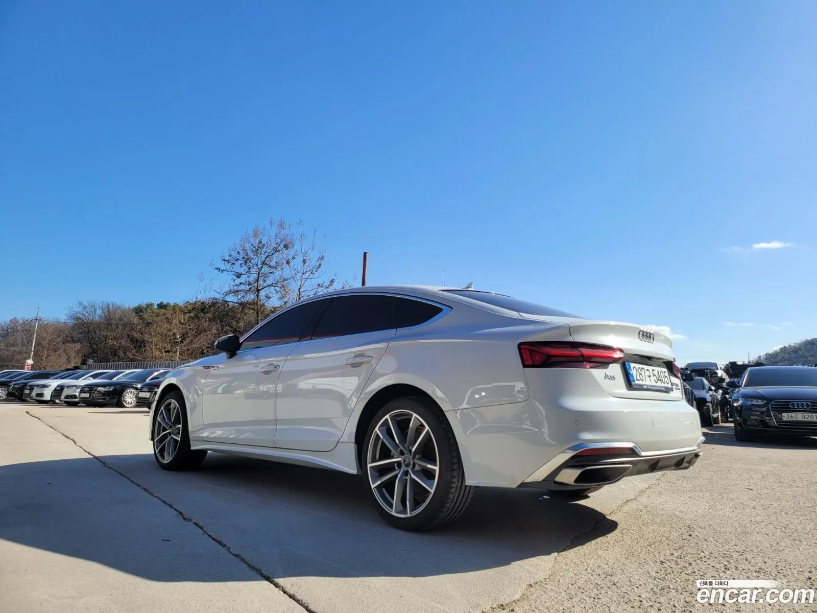 Audi A5 F5 40 Tdi Quattro Premium Sportback - фотография 1176379