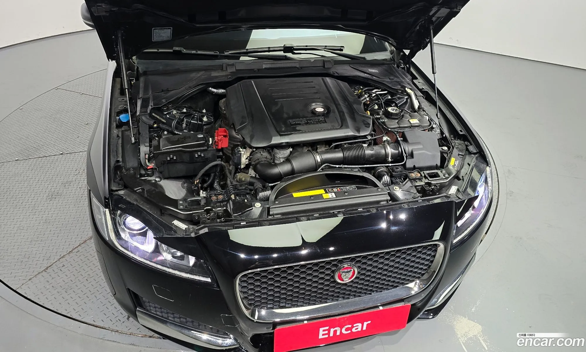 Jaguar Xf X260 20D Prestige - фотография 3939024