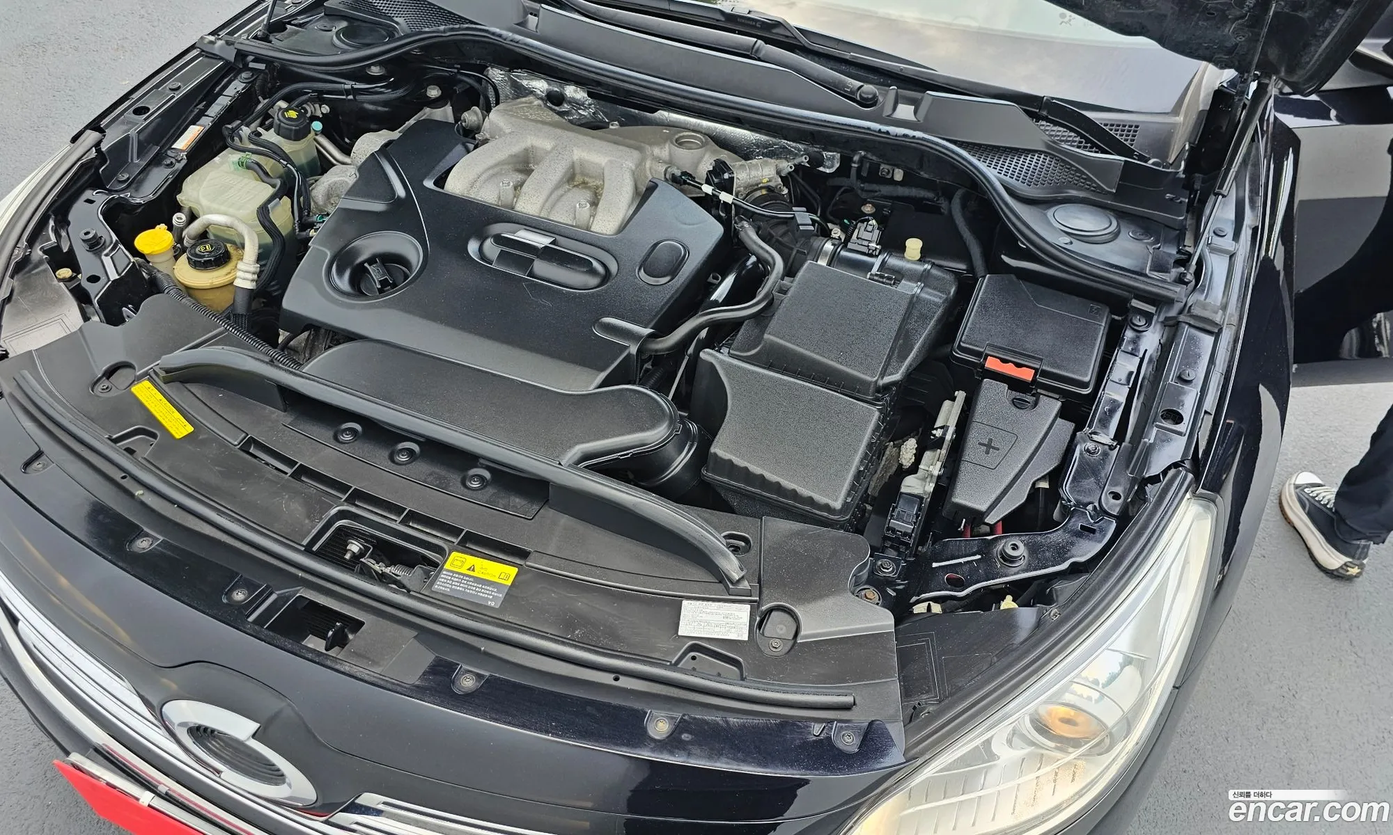 Renault Korea Samsung Sm7 Nova Se - фотография 6304835