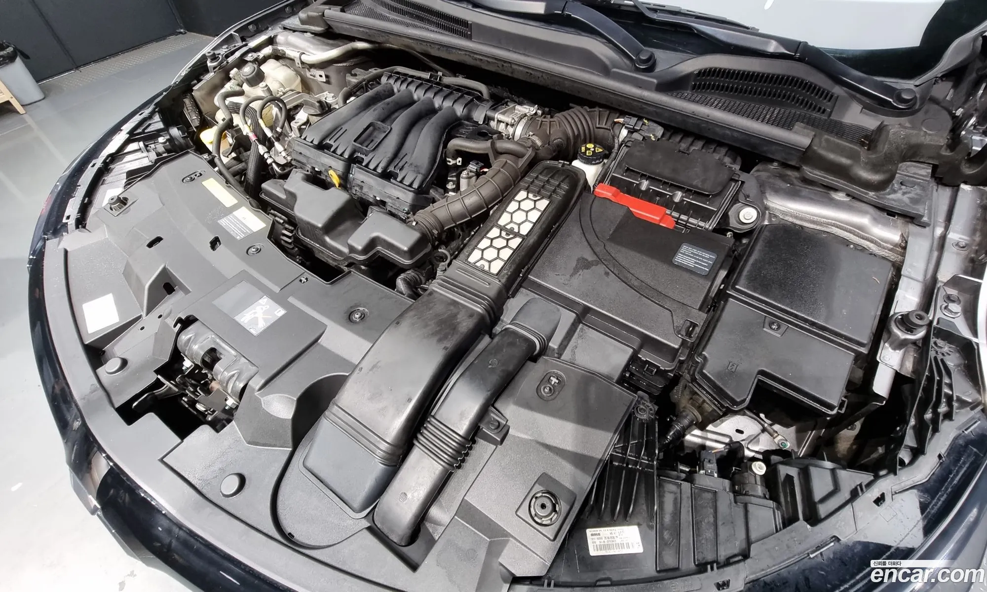 Renault Korea Samsung Sm6 20 Lpe Le - фотография 6304847
