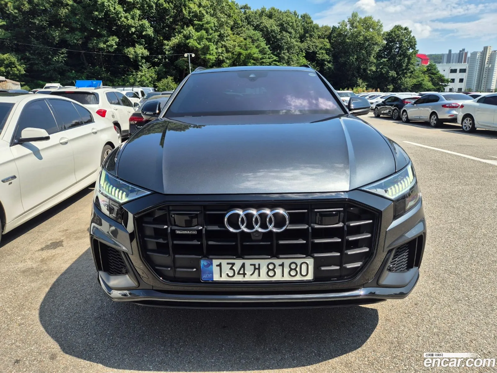 Audi Q8 4M 55 Tfsi Quattro Premium - фотография 183740