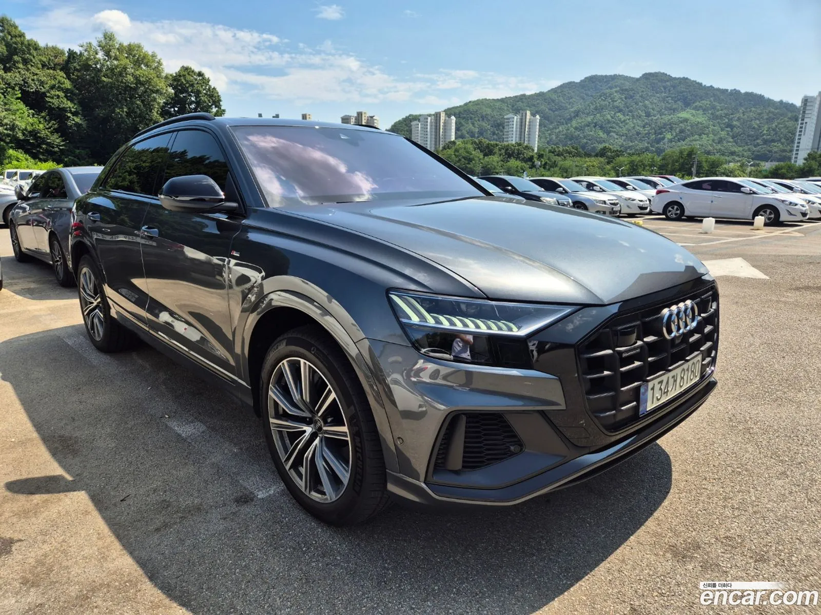 Audi Q8 4M 55 Tfsi Quattro Premium - фотография 183742