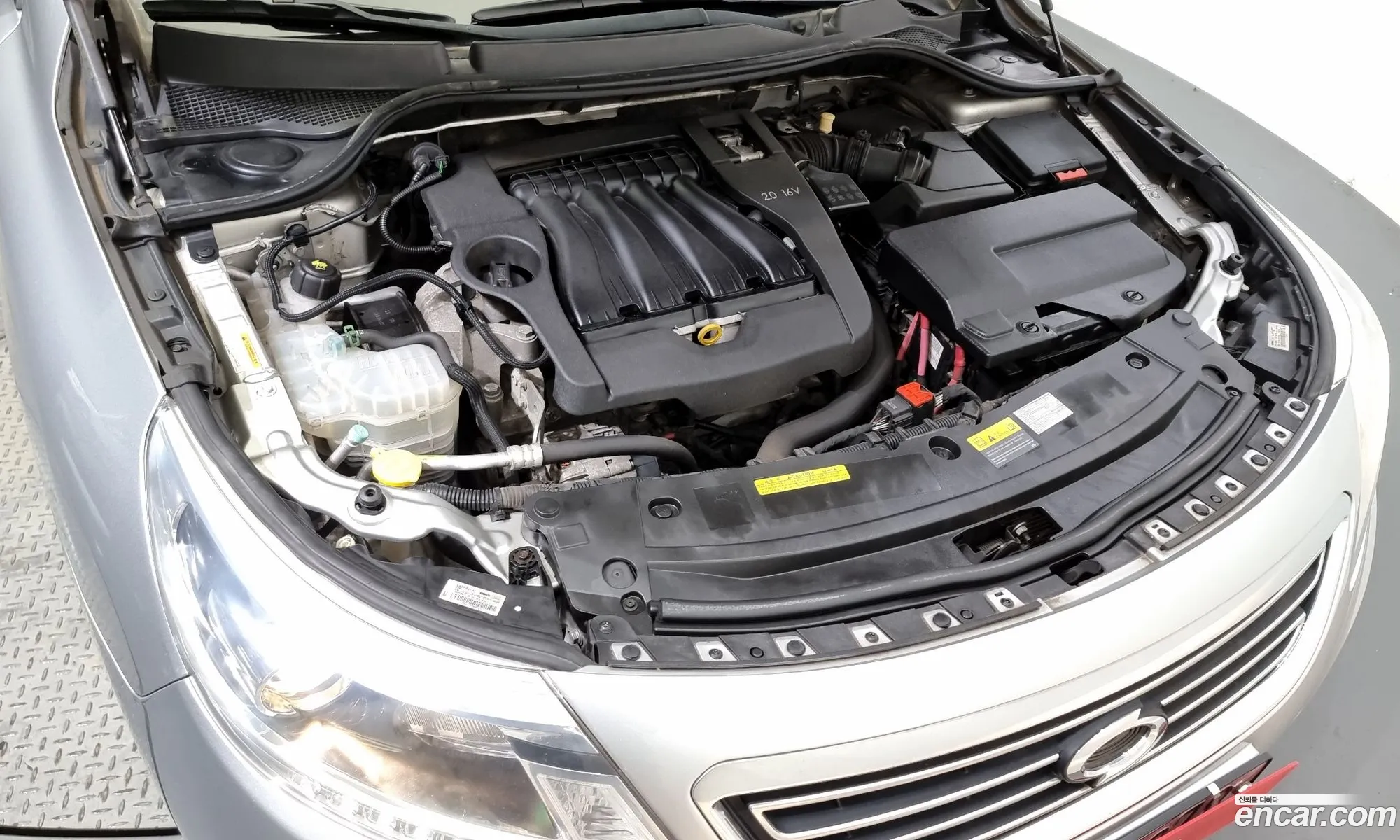 Renault Korea Samsung New Sm5 Platinum Se Art - фотография 5647197