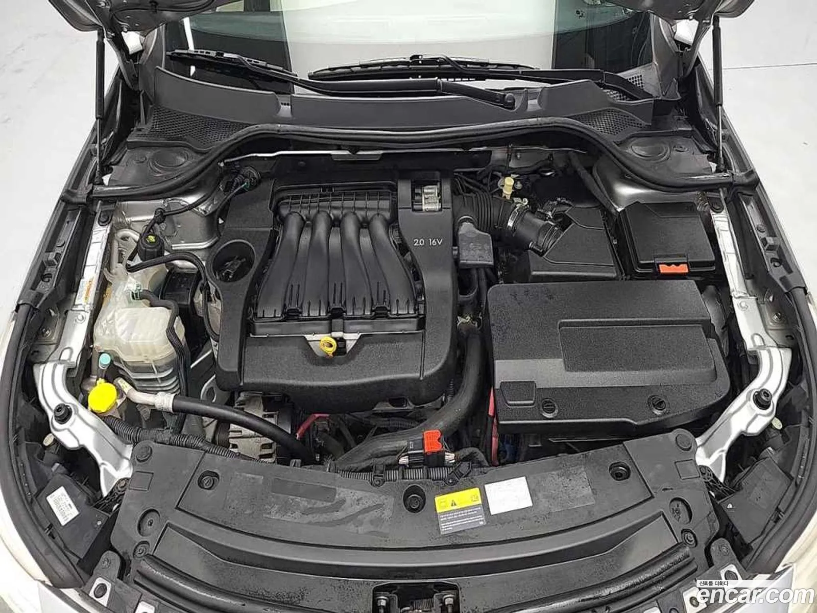 Renault Korea Samsung New Sm5 Platinum Se Basic Type - фотография 5044849