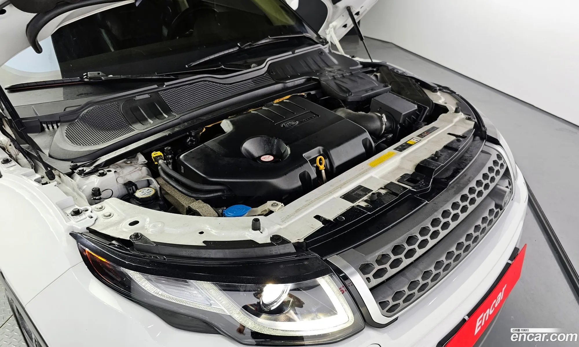 Land Rover Range Rover Evoque 20 Td4 Se - фотография 7208262