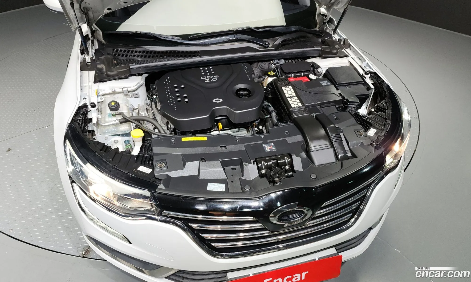 Renault Korea Samsung Sm6 20 Gde Le - фотография 6742985