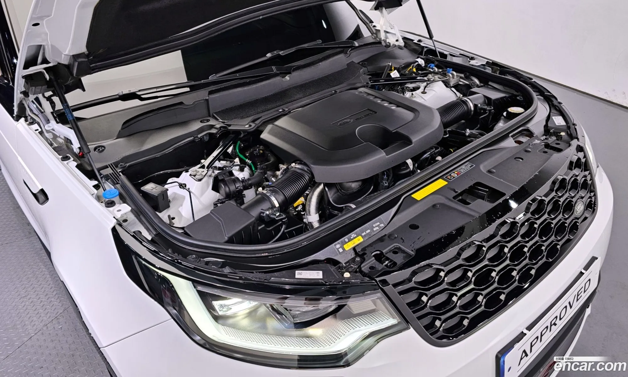 Korex Auto Trade - фотография 7397361