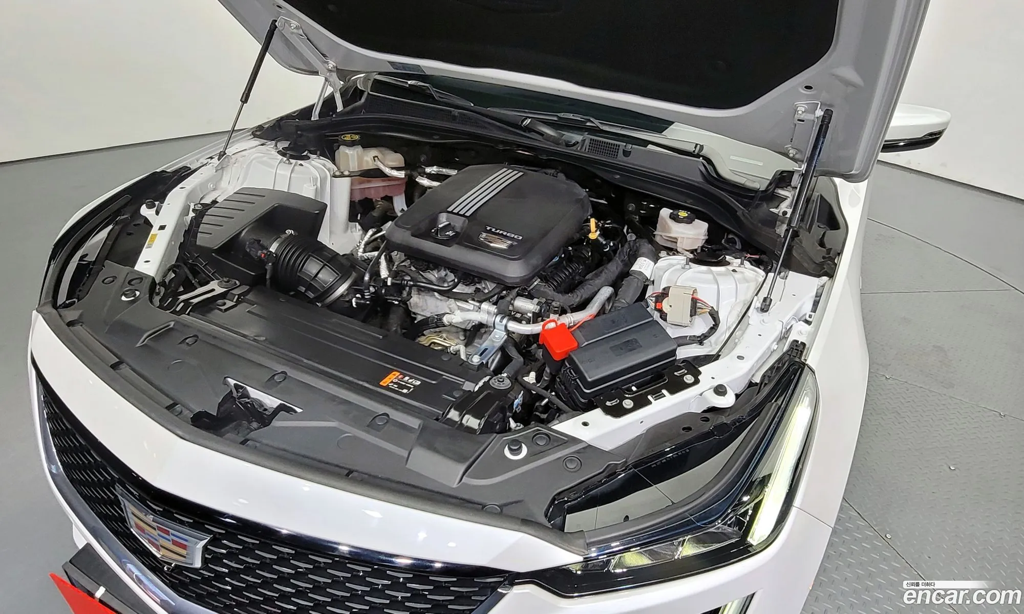 Cadillac Ct5 20 Premium Luxury - фотография 3911732