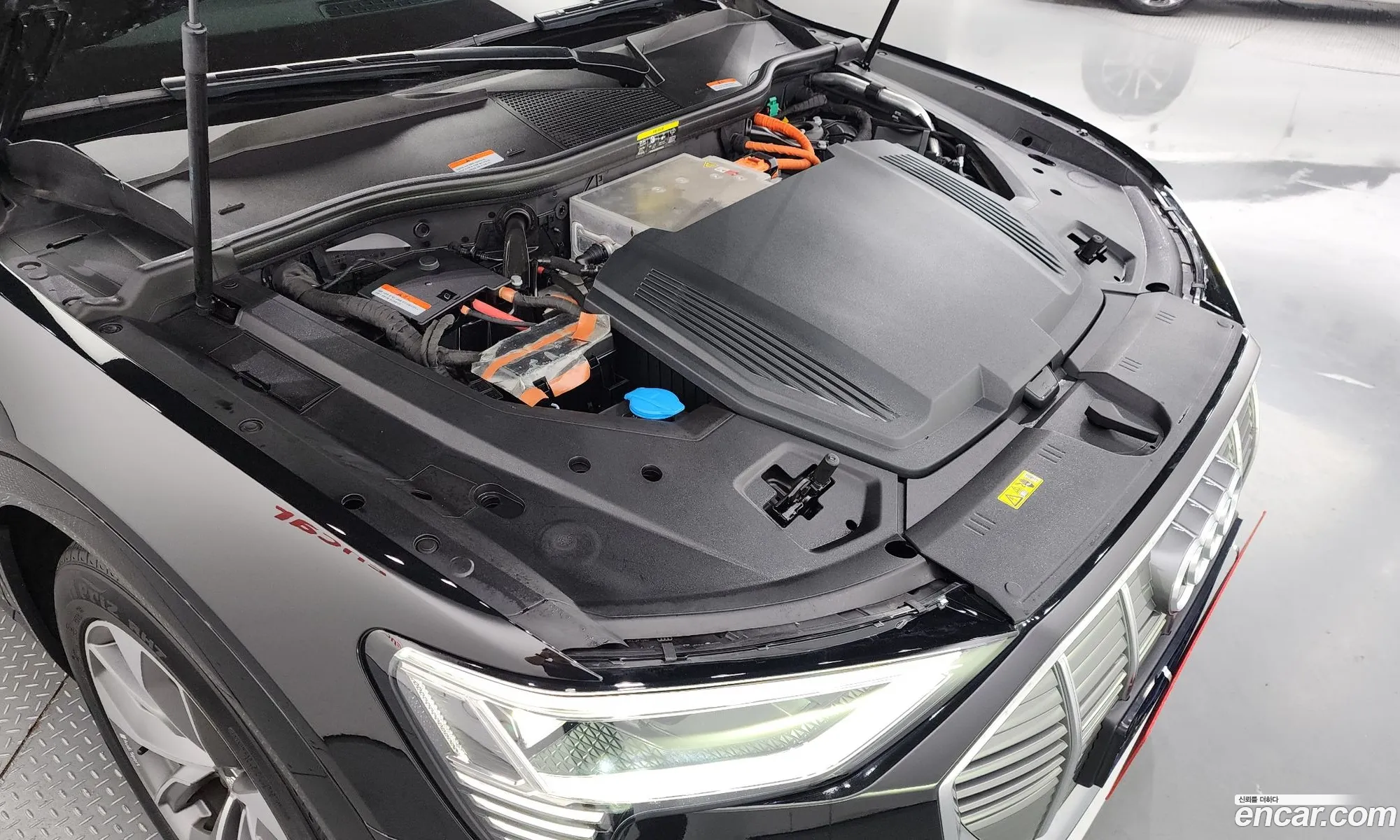 Audi E-Tron 55 Quattro - фотография 117627