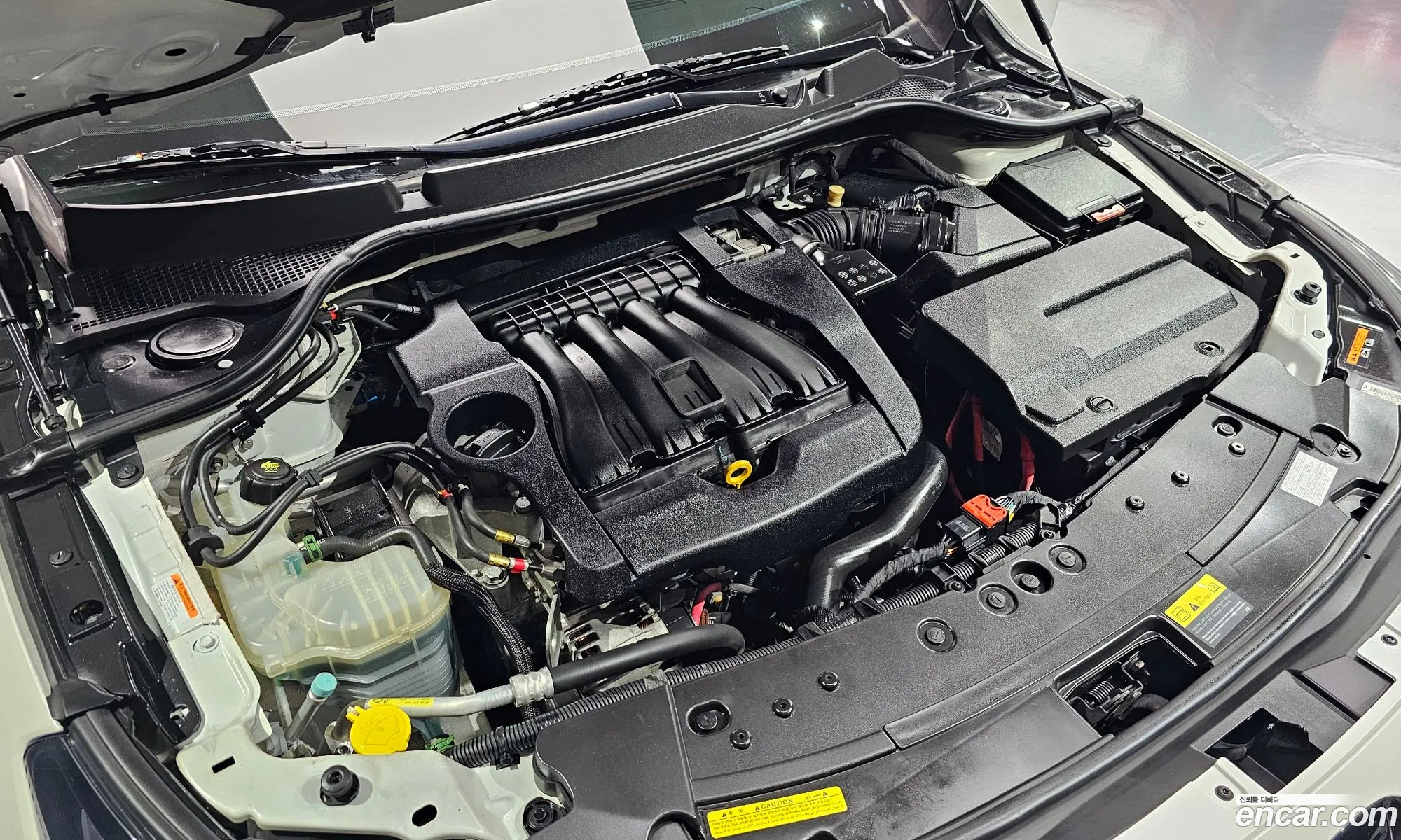 Renault Korea Samsung Sm7 Nova Lpli 20 Lpe For The Disabled - фотография 6253823