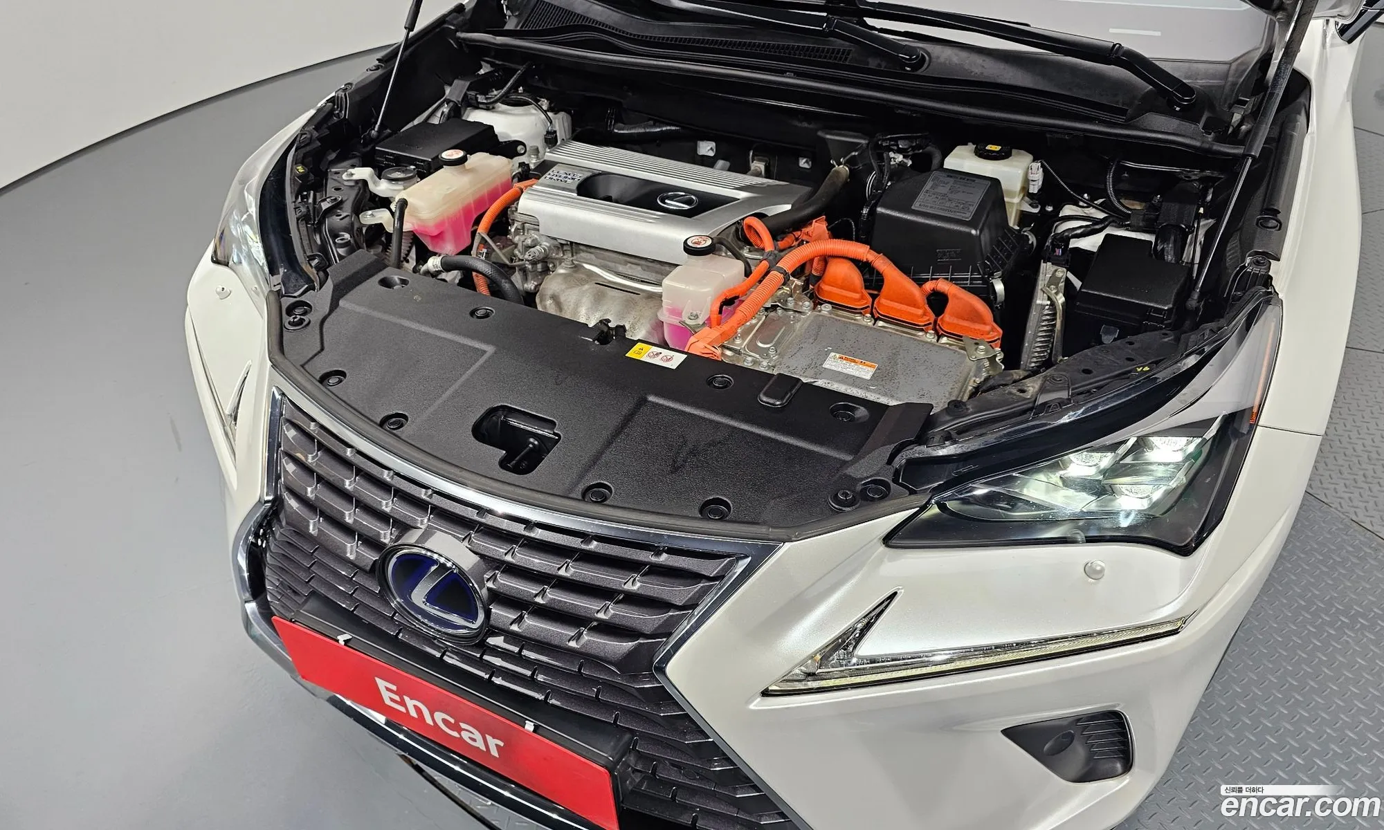 Lexus Nx300H Supreme - фотография 5175089